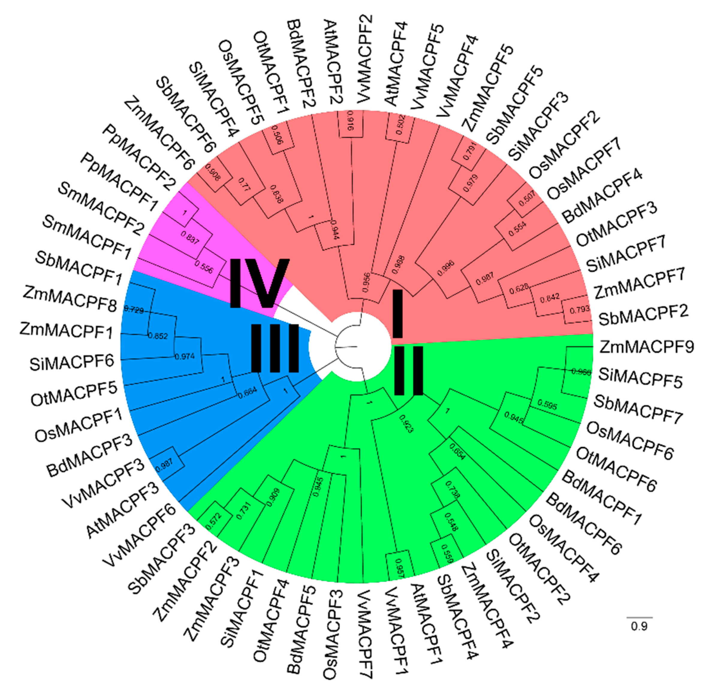 Ijms 21 05736 g001 Ijms 21 05736 g001