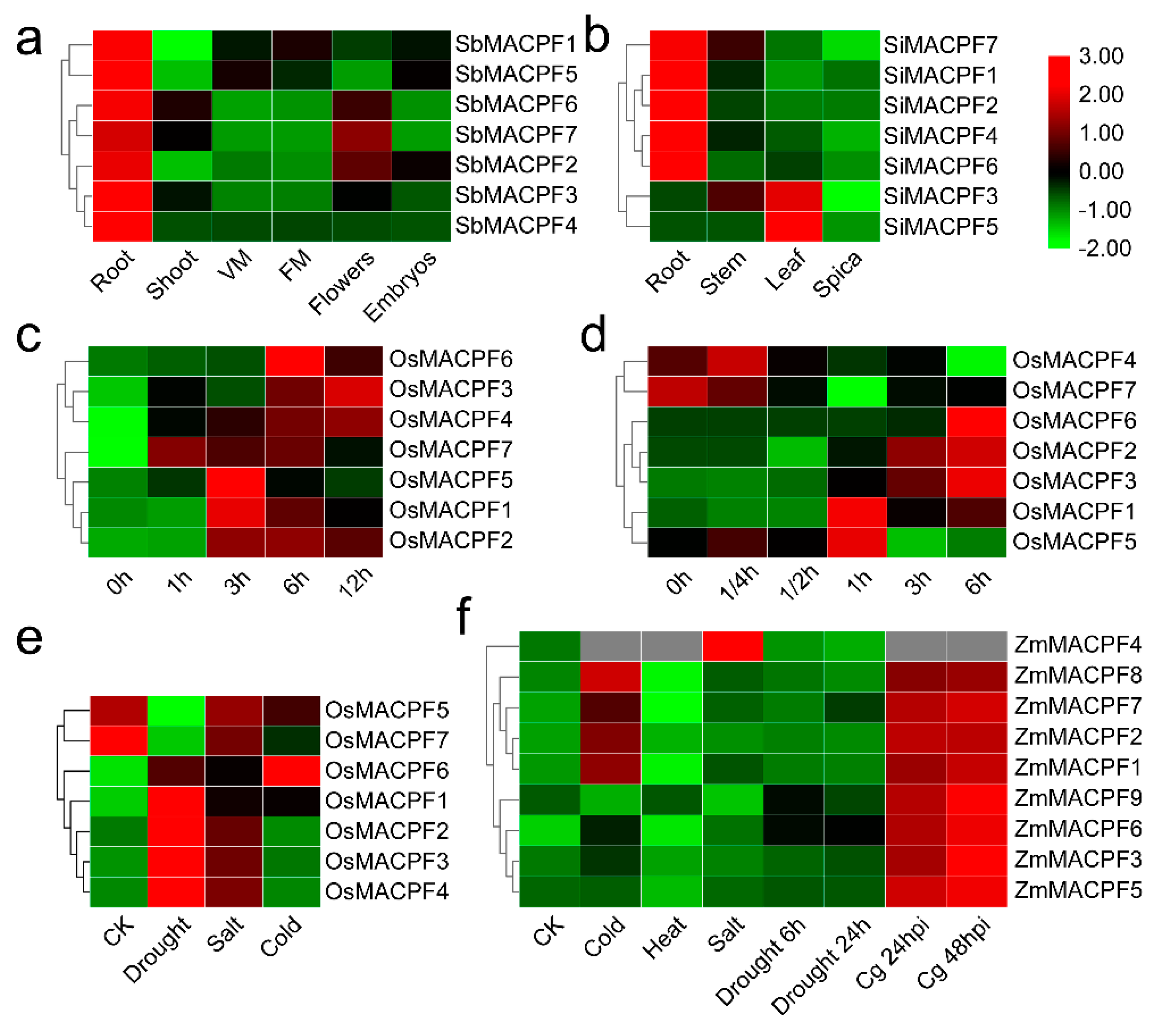 Ijms 21 05736 g006 Ijms 21 05736 g006