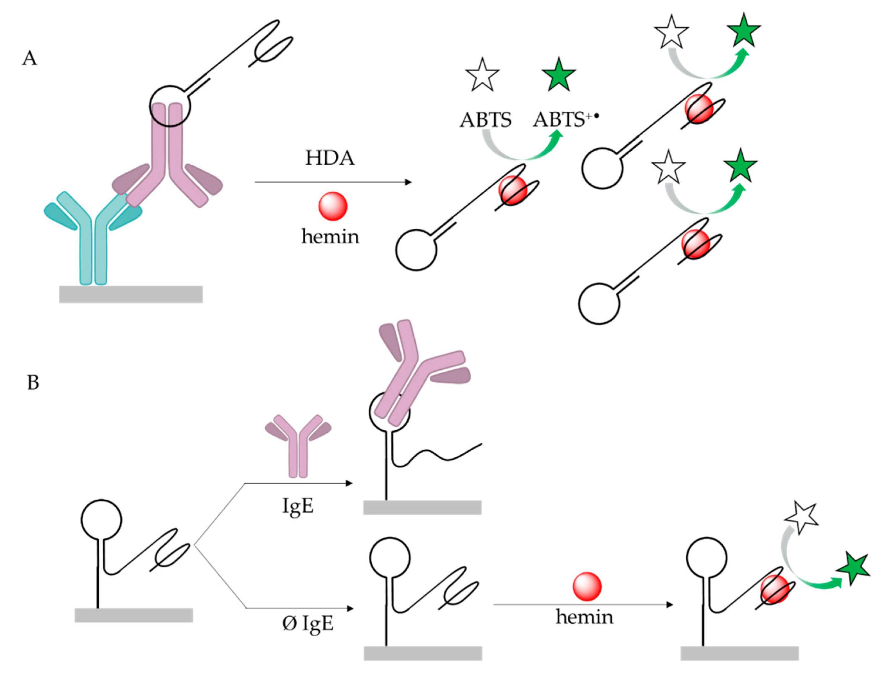 Ijms Free Full Text Aptamers Against Immunoglobulins Design Selection And Bioanalytical Applications Html