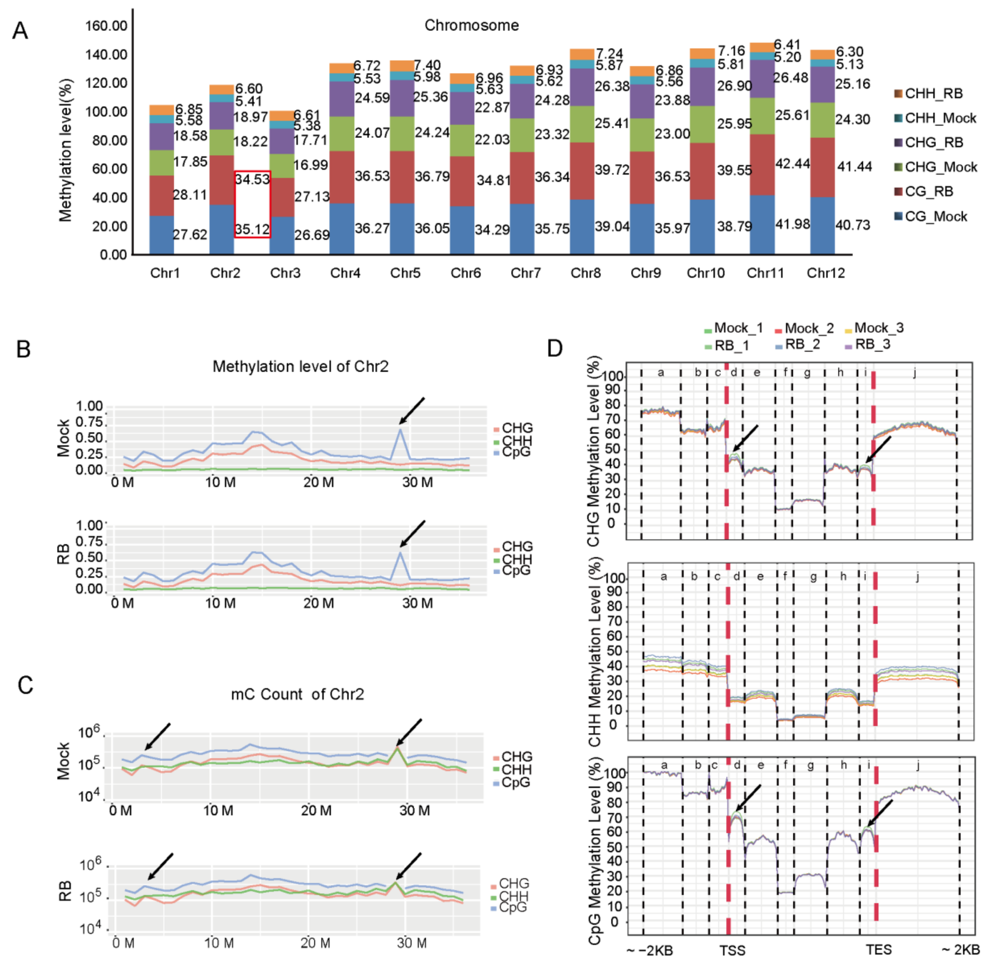 Ijms 21 05753 g001 Ijms 21 05753 g001