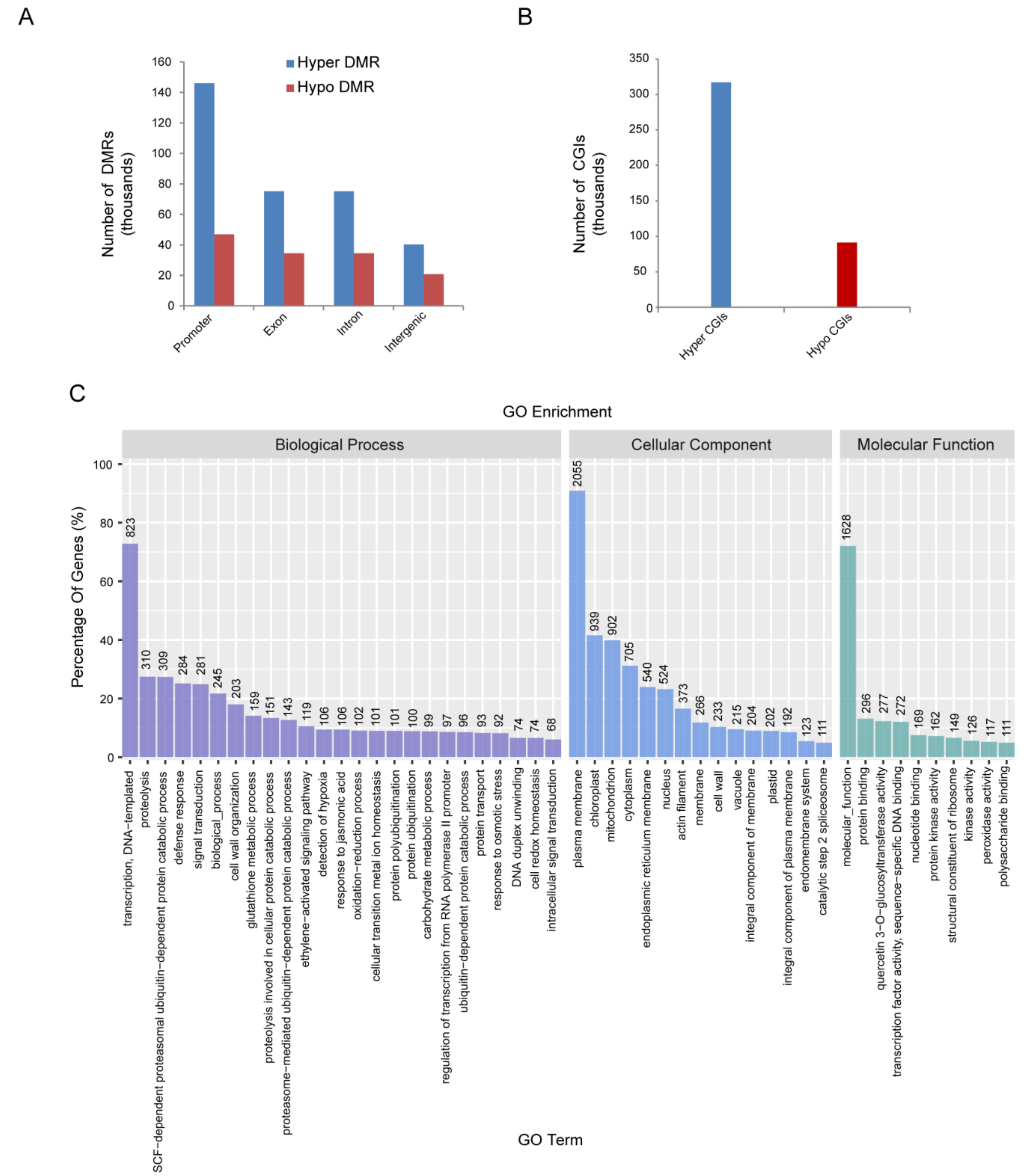 Ijms 21 05753 g002 Ijms 21 05753 g002