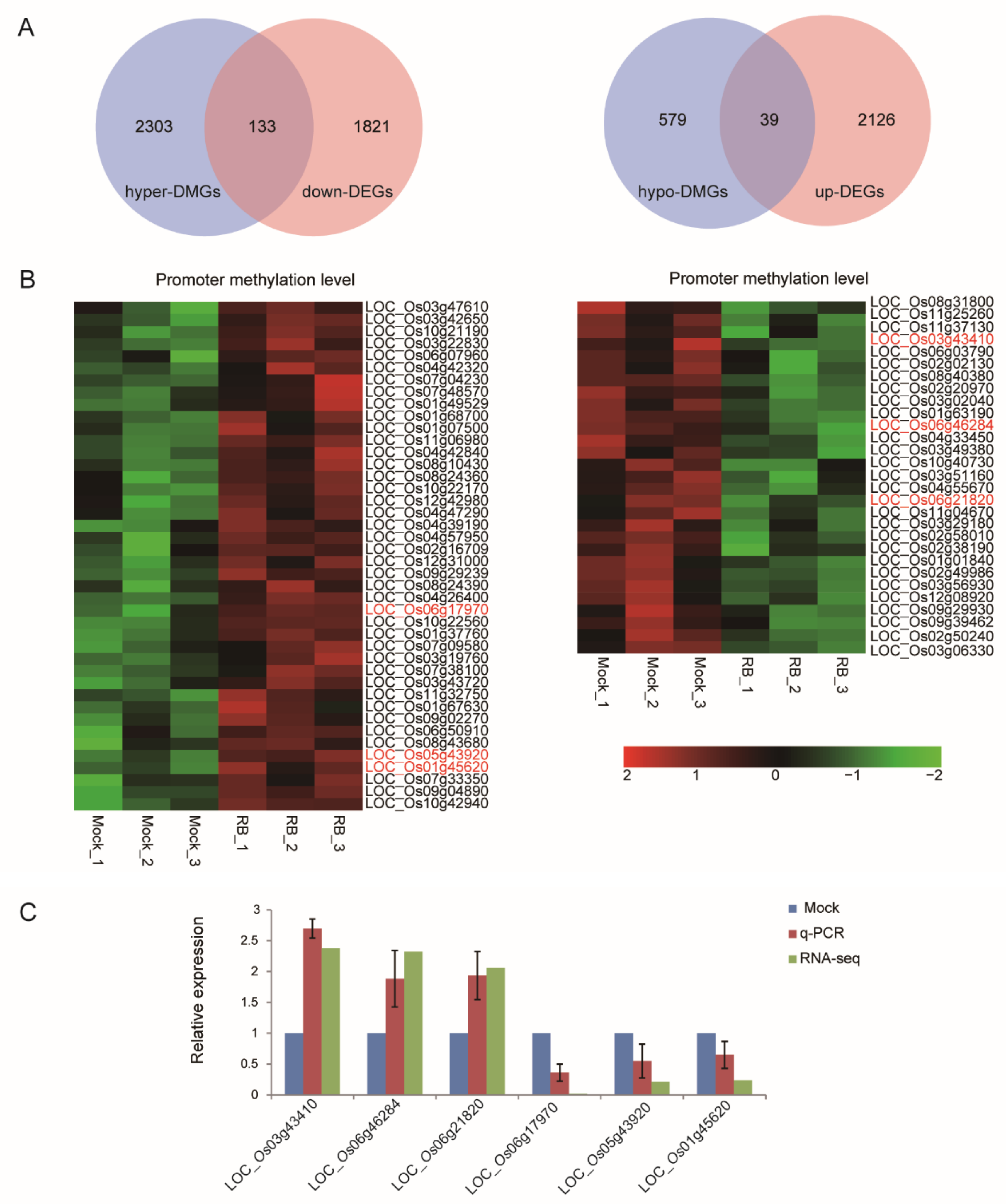 Ijms 21 05753 g004 Ijms 21 05753 g004