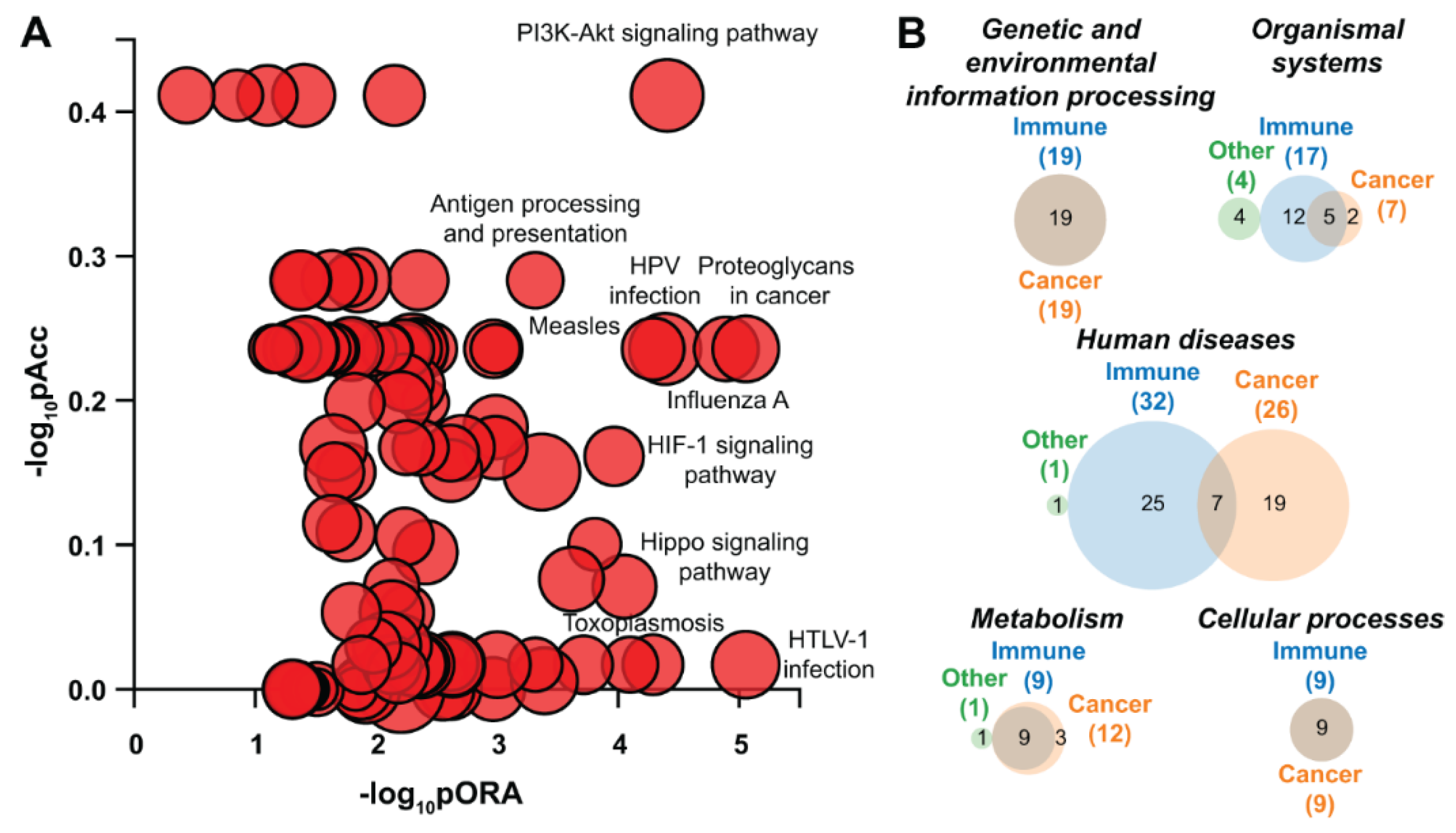 Ijms 21 05762 g005 Ijms 21 05762 g005