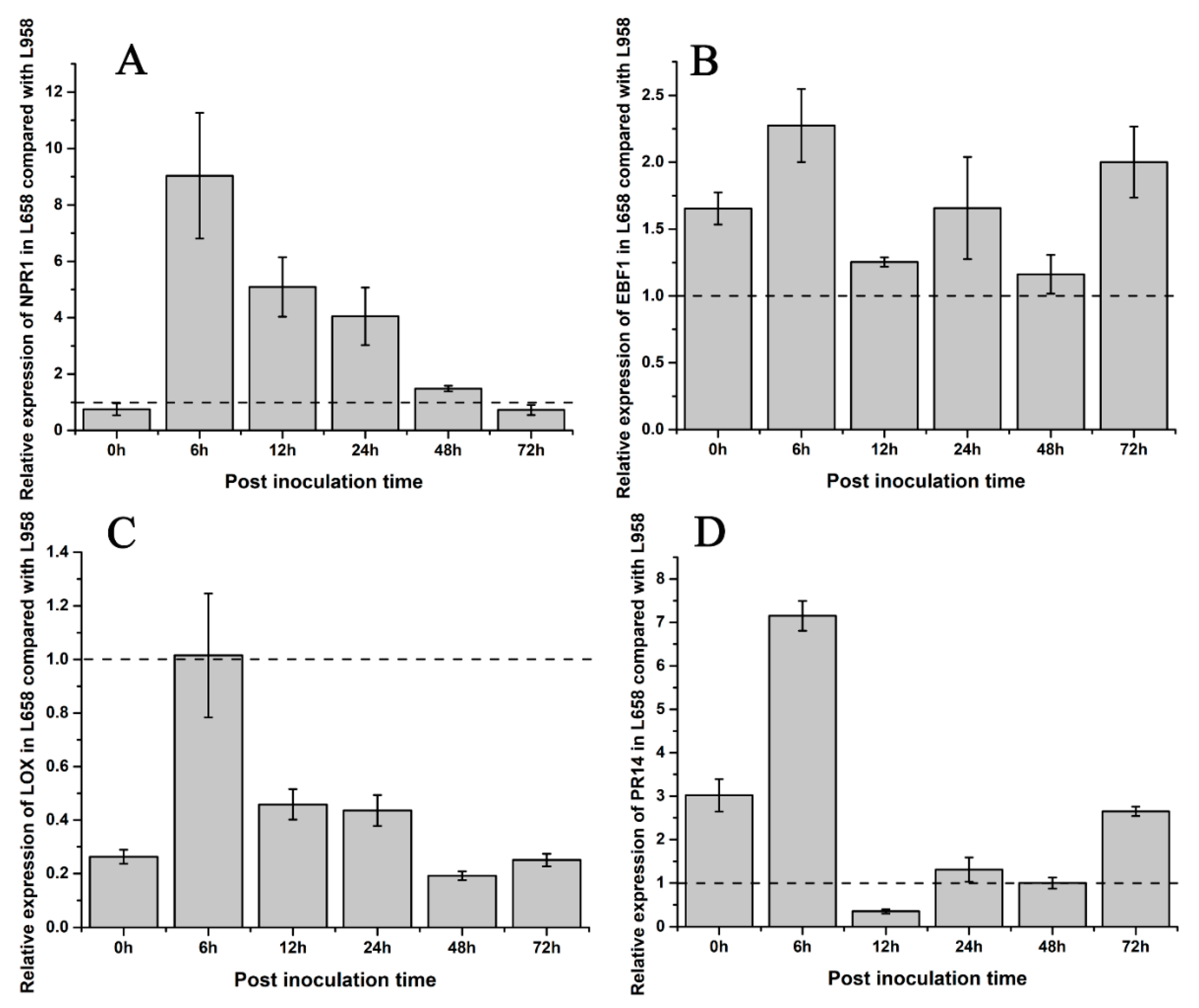Ijms 21 05767 g005 Ijms 21 05767 g005