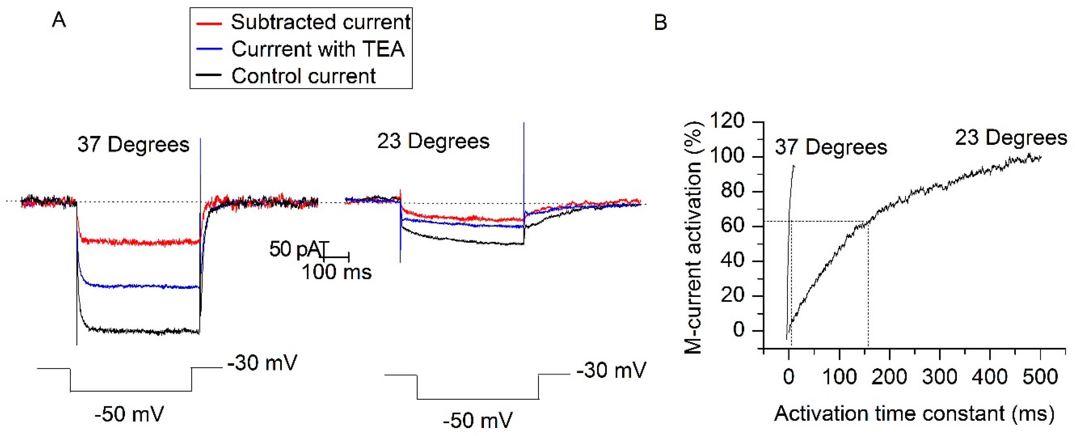 Ijms 21 05796 g006 Ijms 21 05796 g006