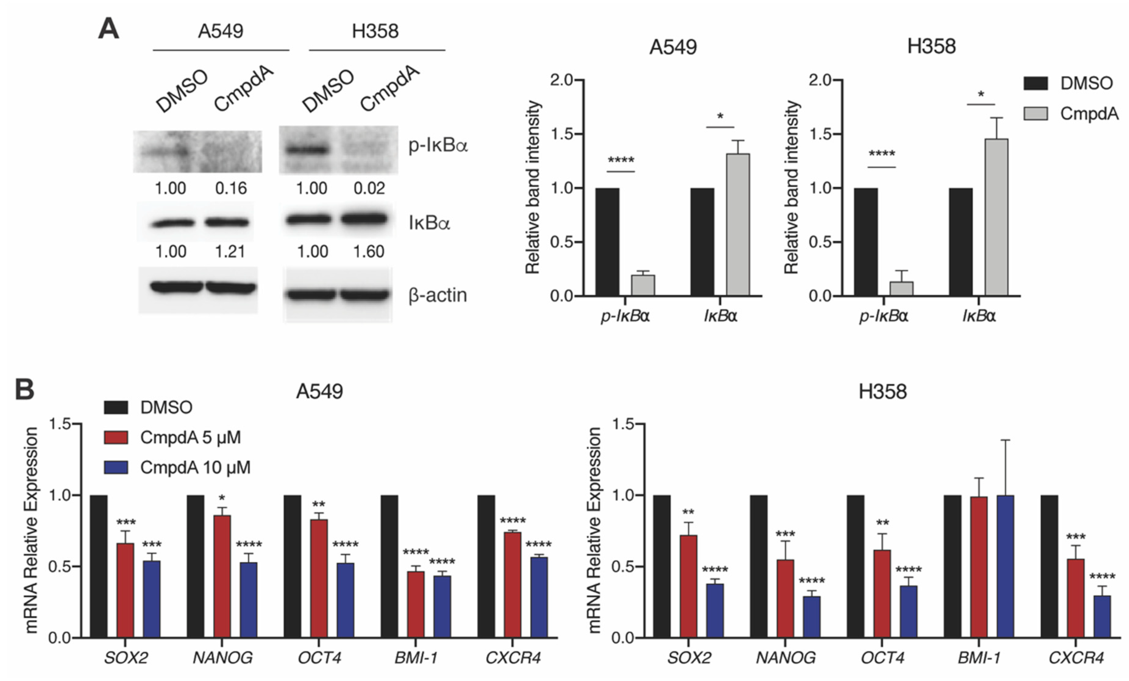 Ijms 21 05806 g002 Ijms 21 05806 g002