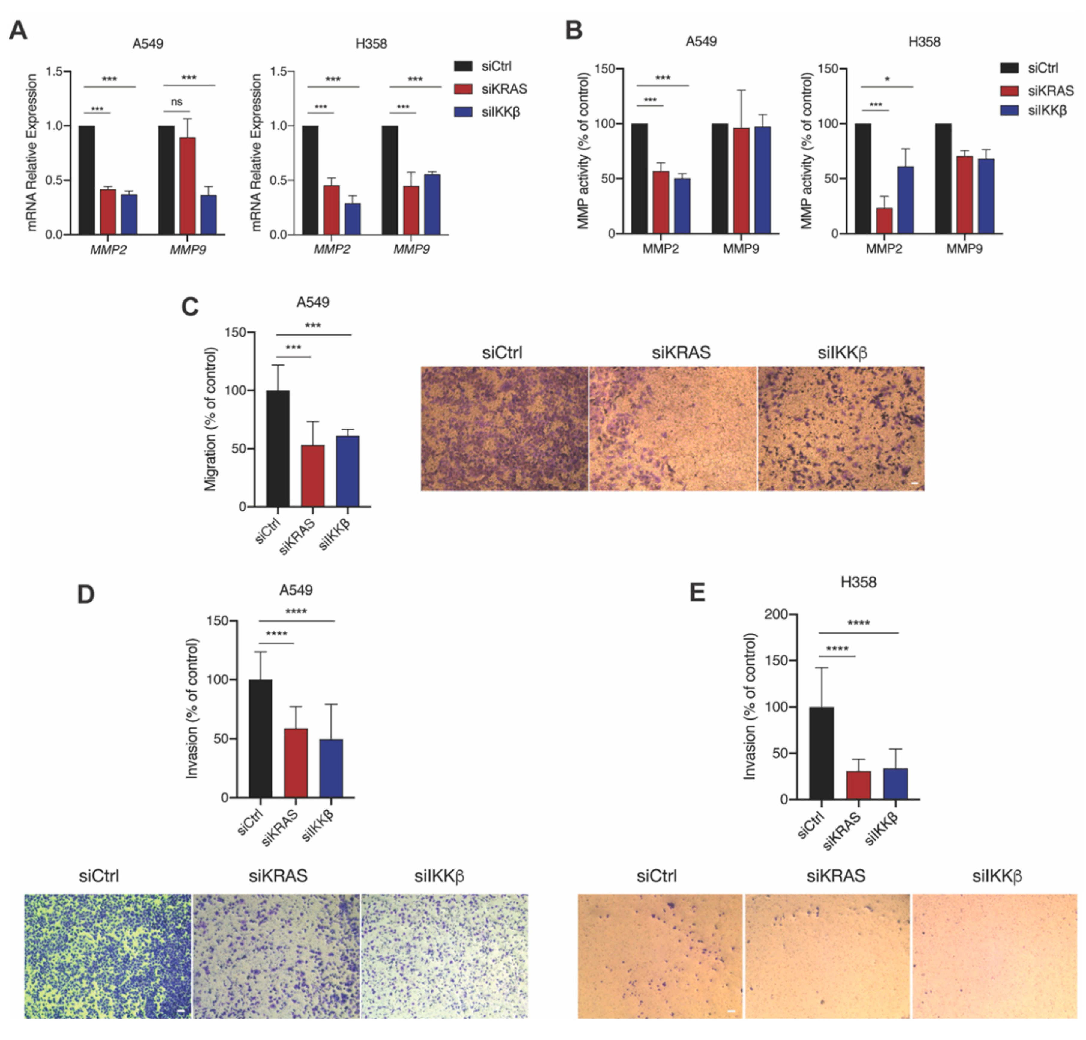 Ijms 21 05806 g006 Ijms 21 05806 g006