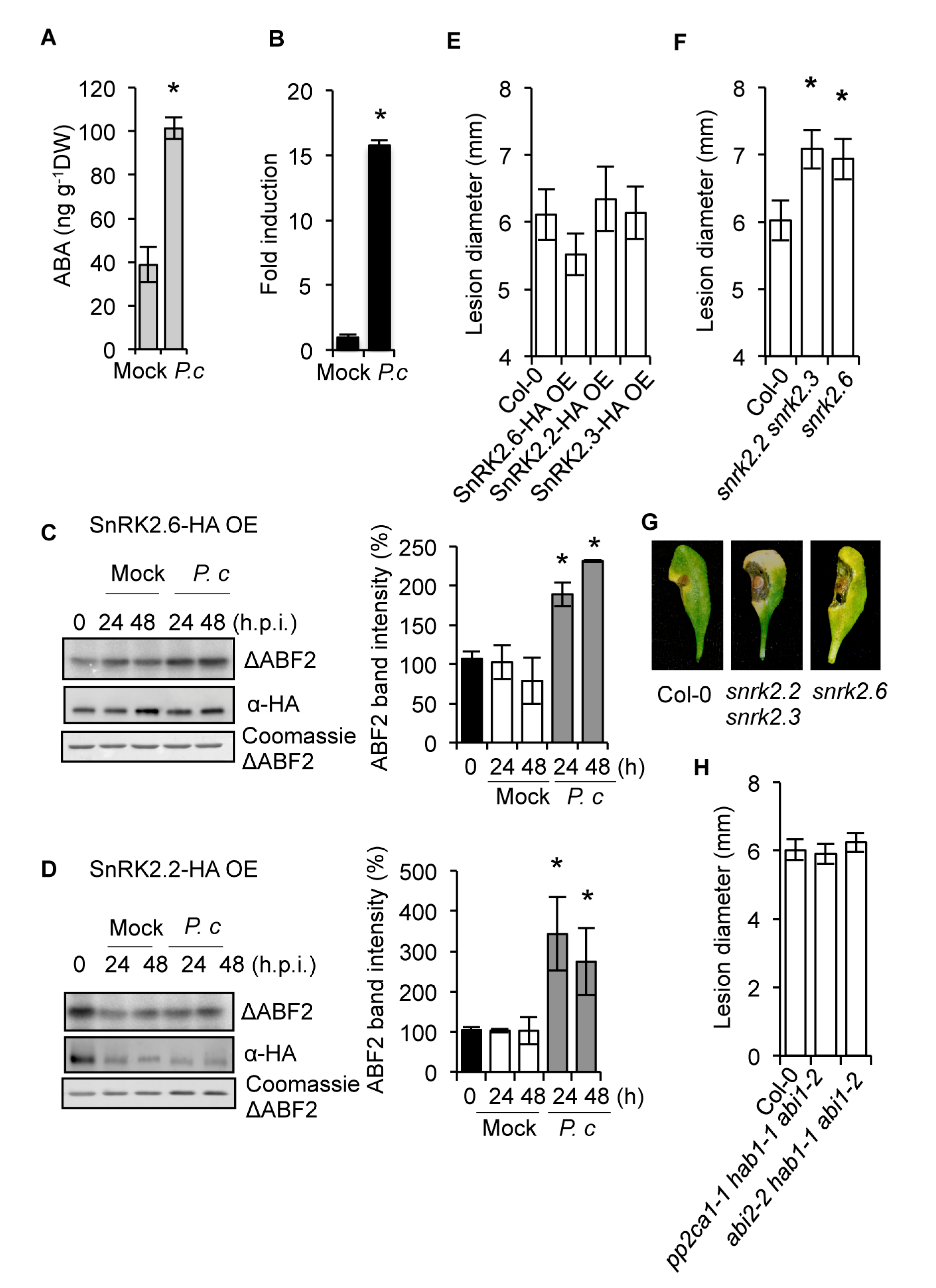 Ijms Free Full Text The Role Of Aba In Plant Immunity Is Mediated Through The Pyr1 Receptor