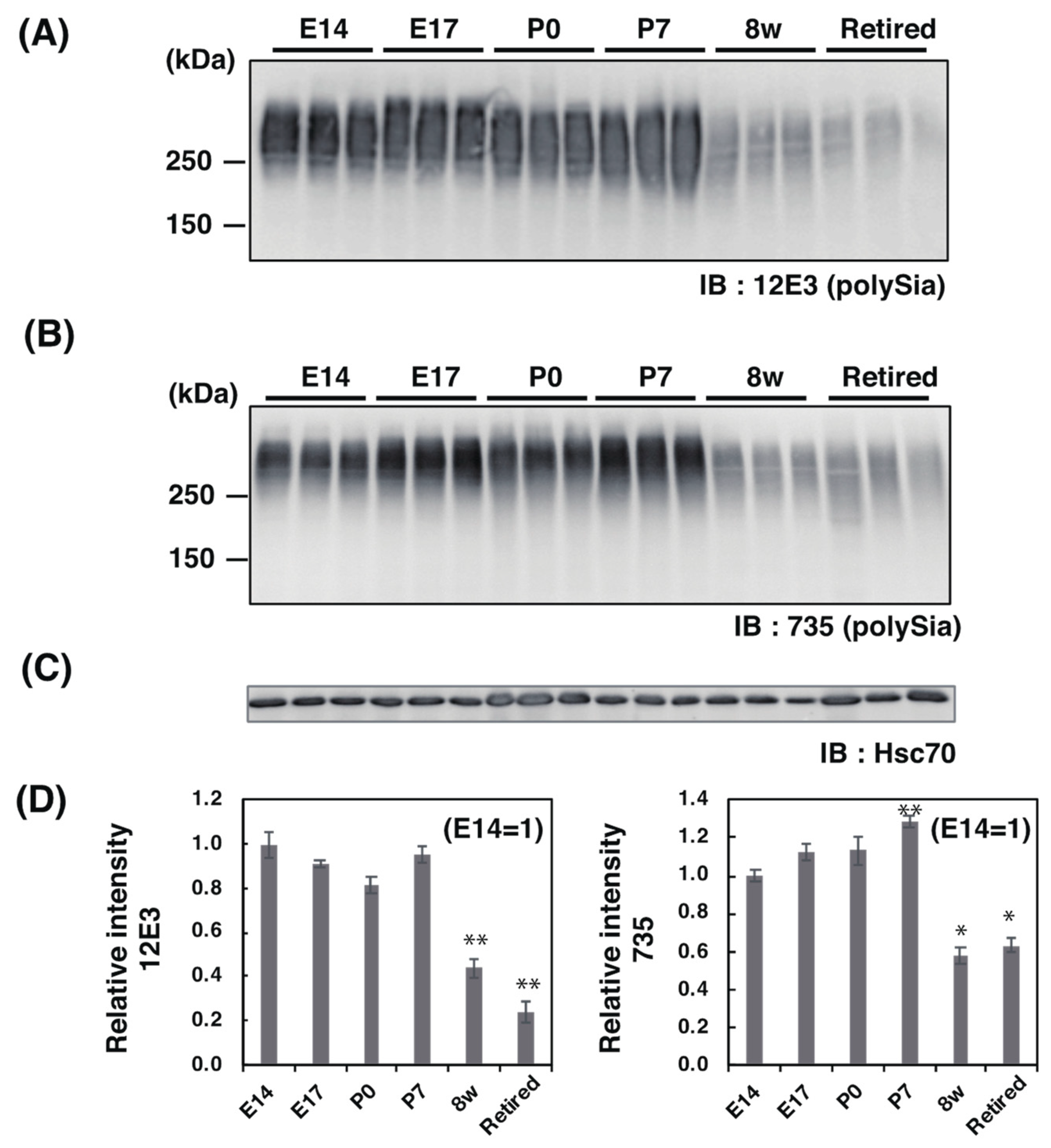 Ijms 21 05892 g002 Ijms 21 05892 g002
