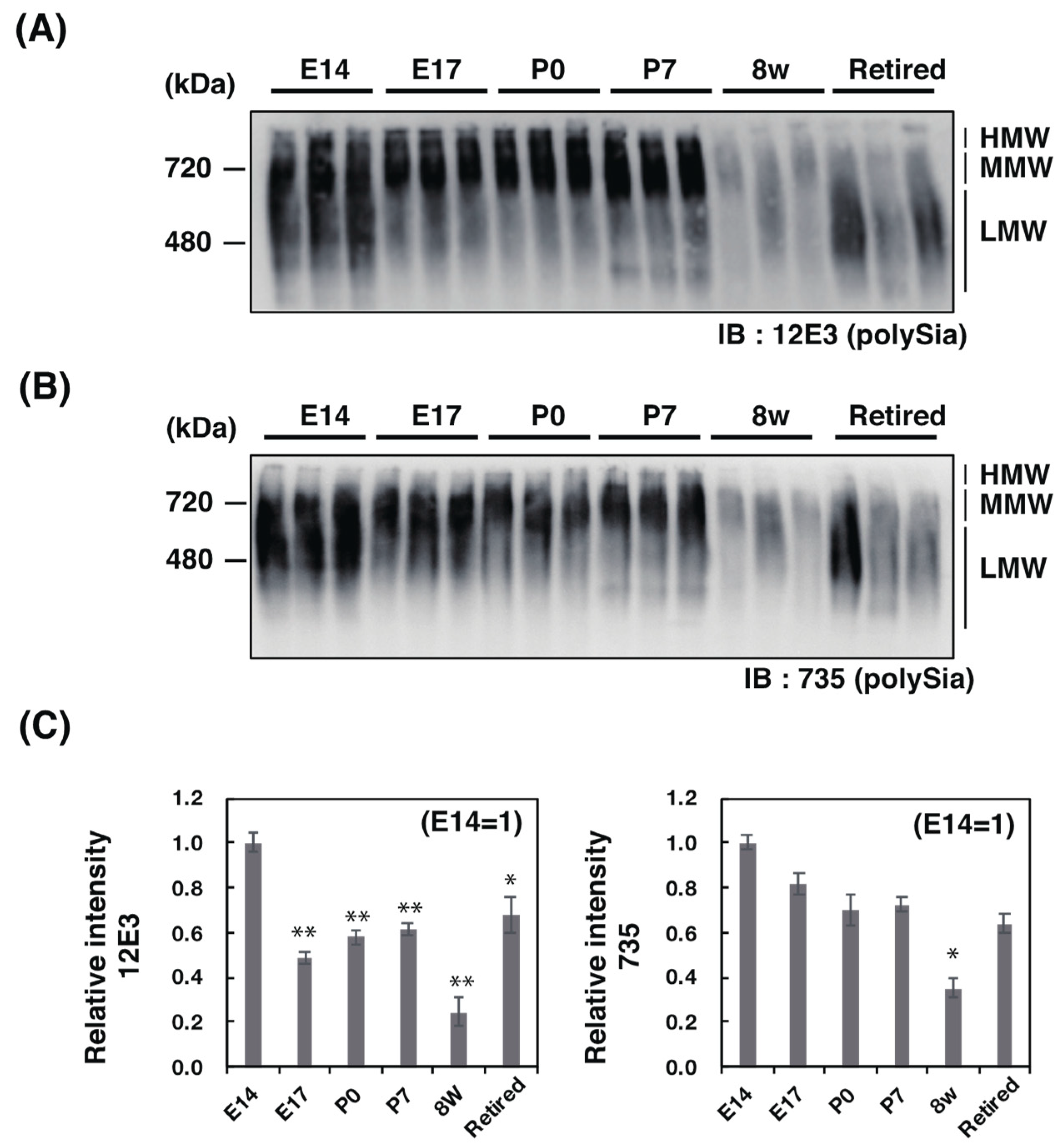 Ijms 21 05892 g003 Ijms 21 05892 g003