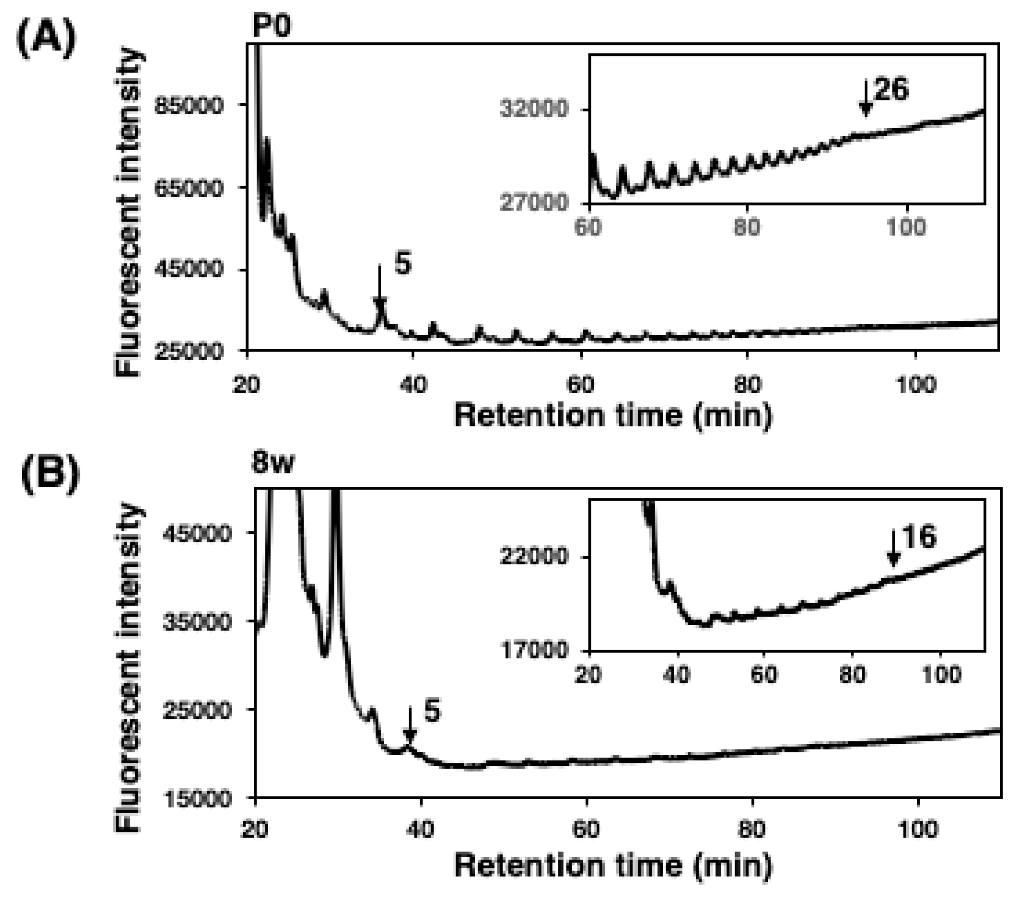 Ijms 21 05892 g006 Ijms 21 05892 g006