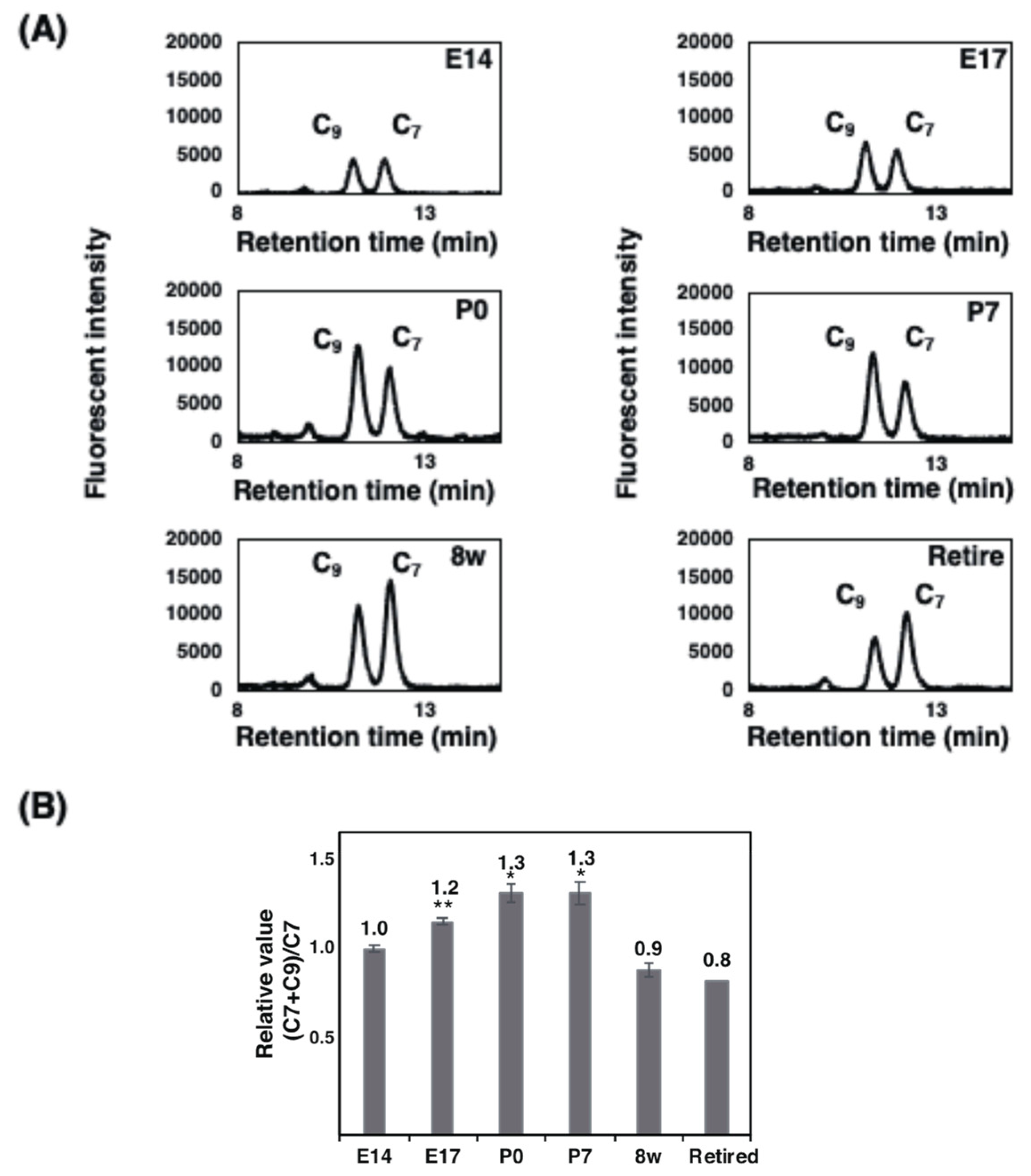 Ijms 21 05892 g007 Ijms 21 05892 g007