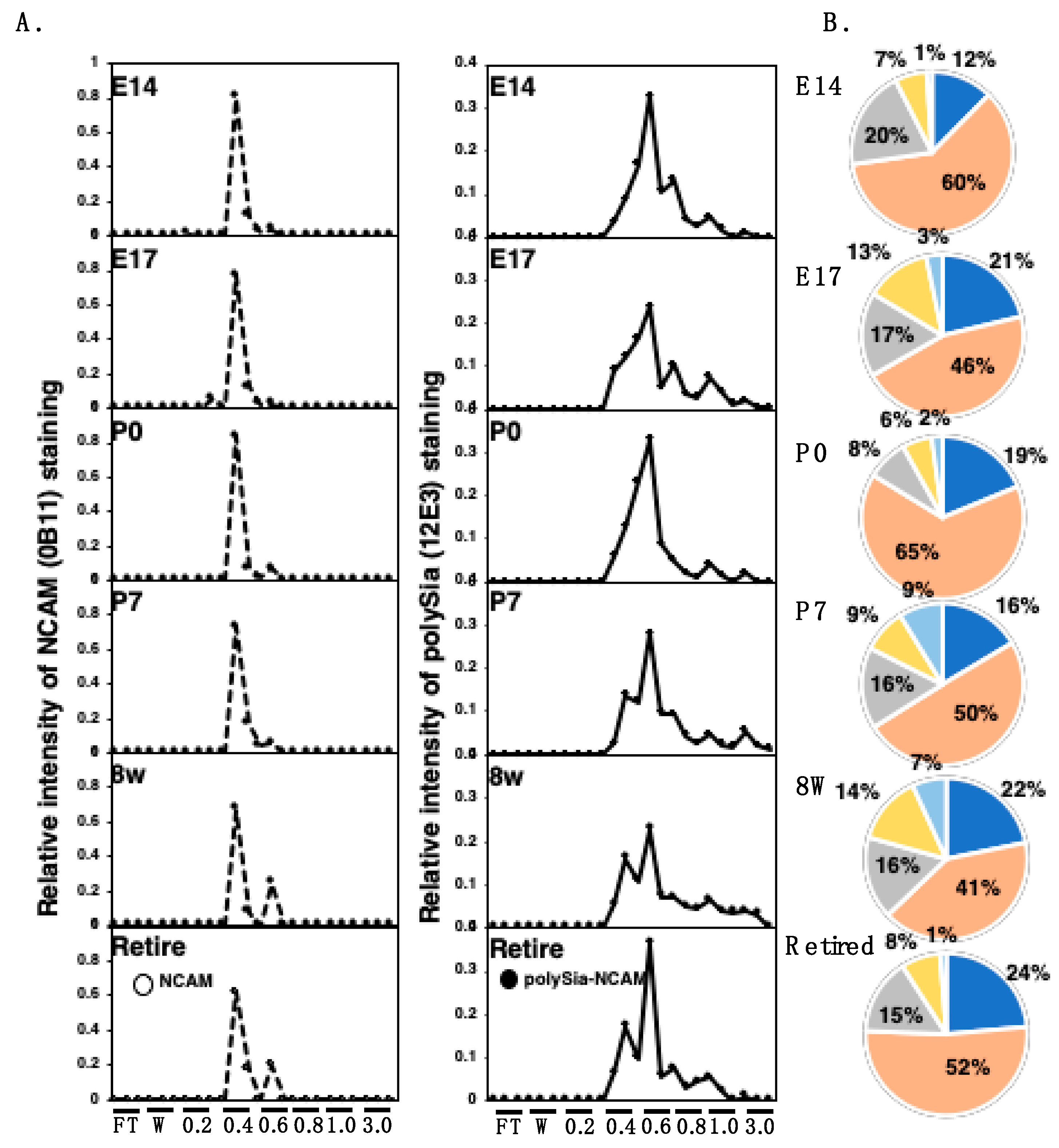 Ijms 21 05892 g008 Ijms 21 05892 g008
