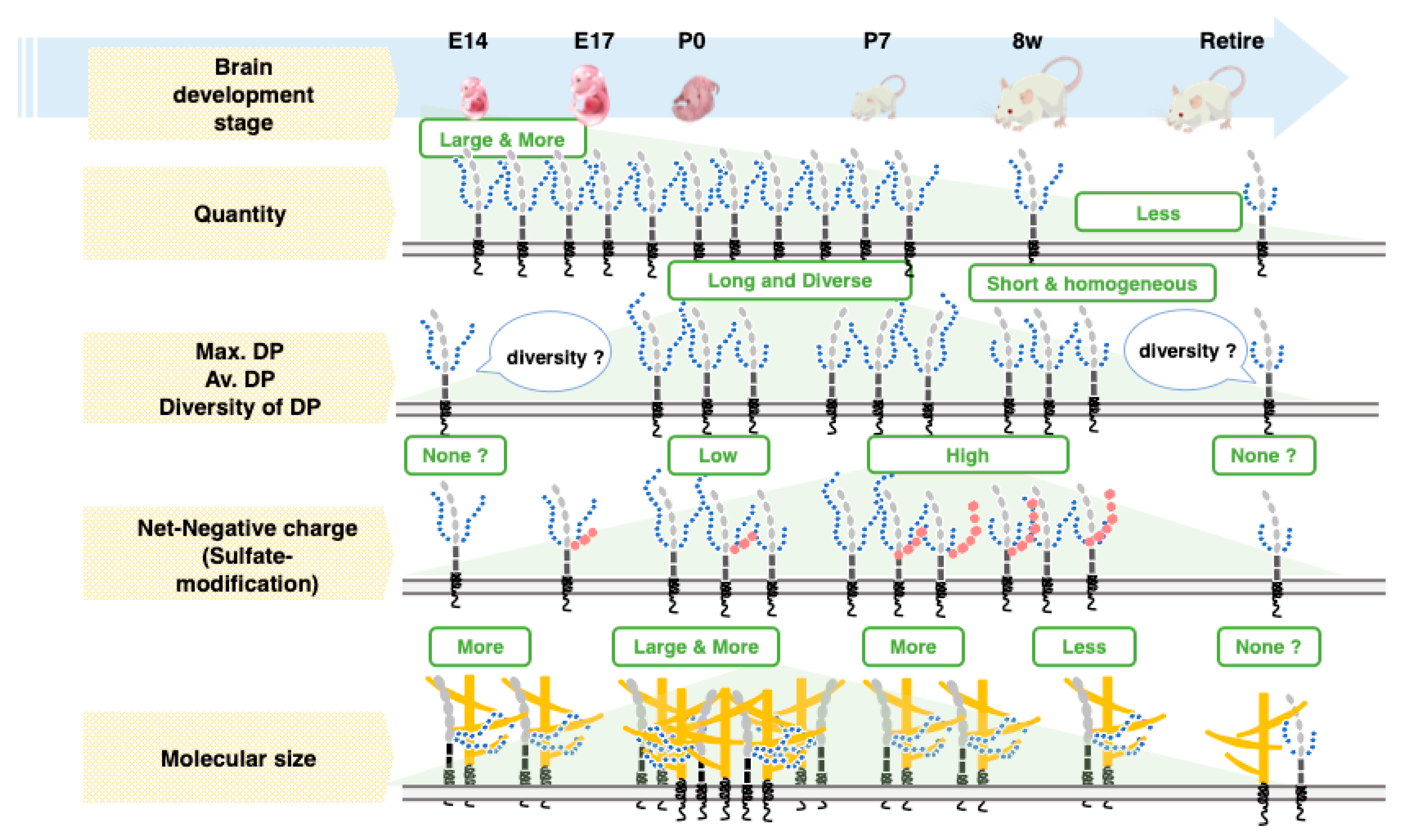 Ijms 21 05892 g010 Ijms 21 05892 g010