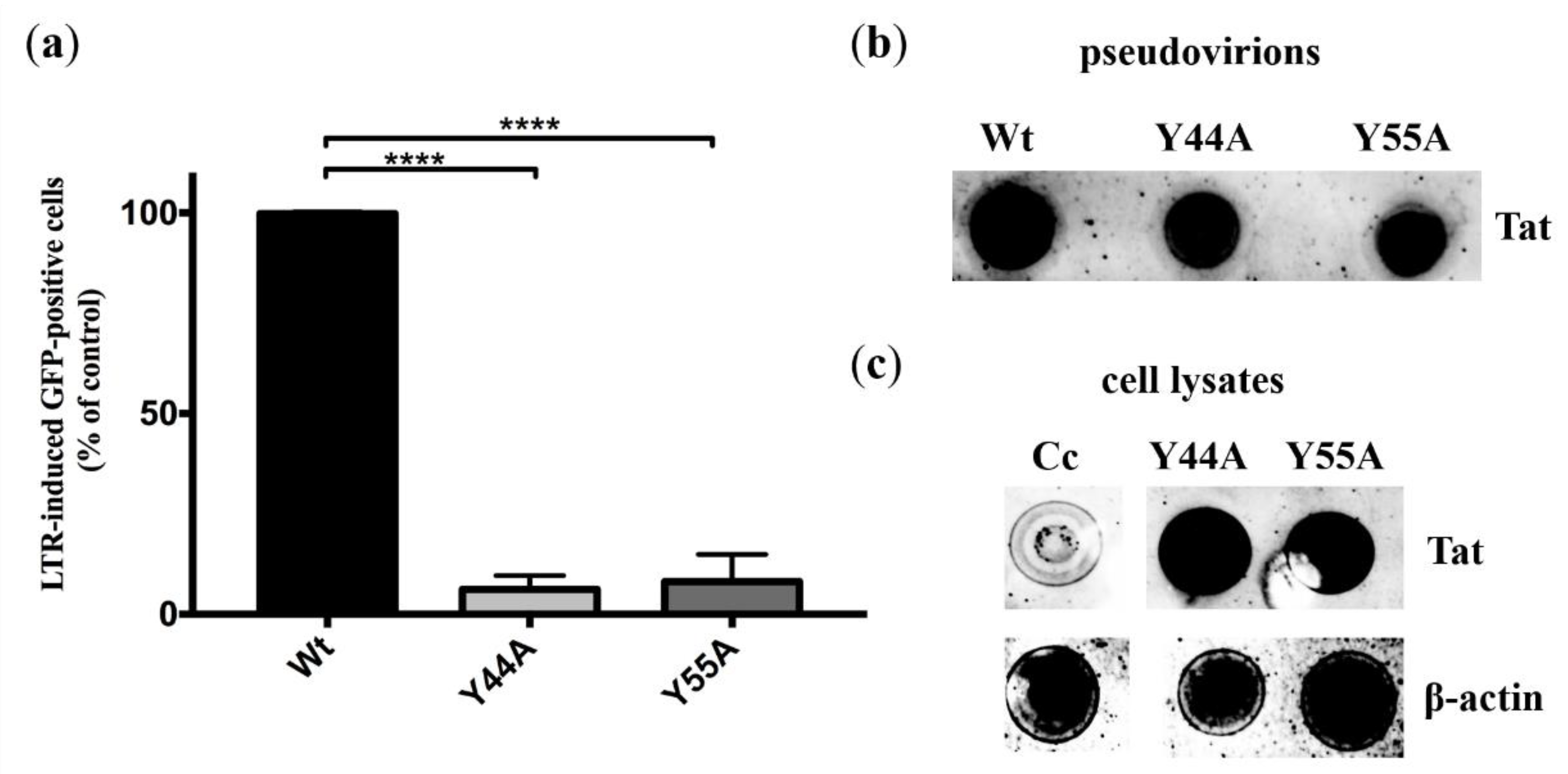 Ijms 21 05907 g004 Ijms 21 05907 g004