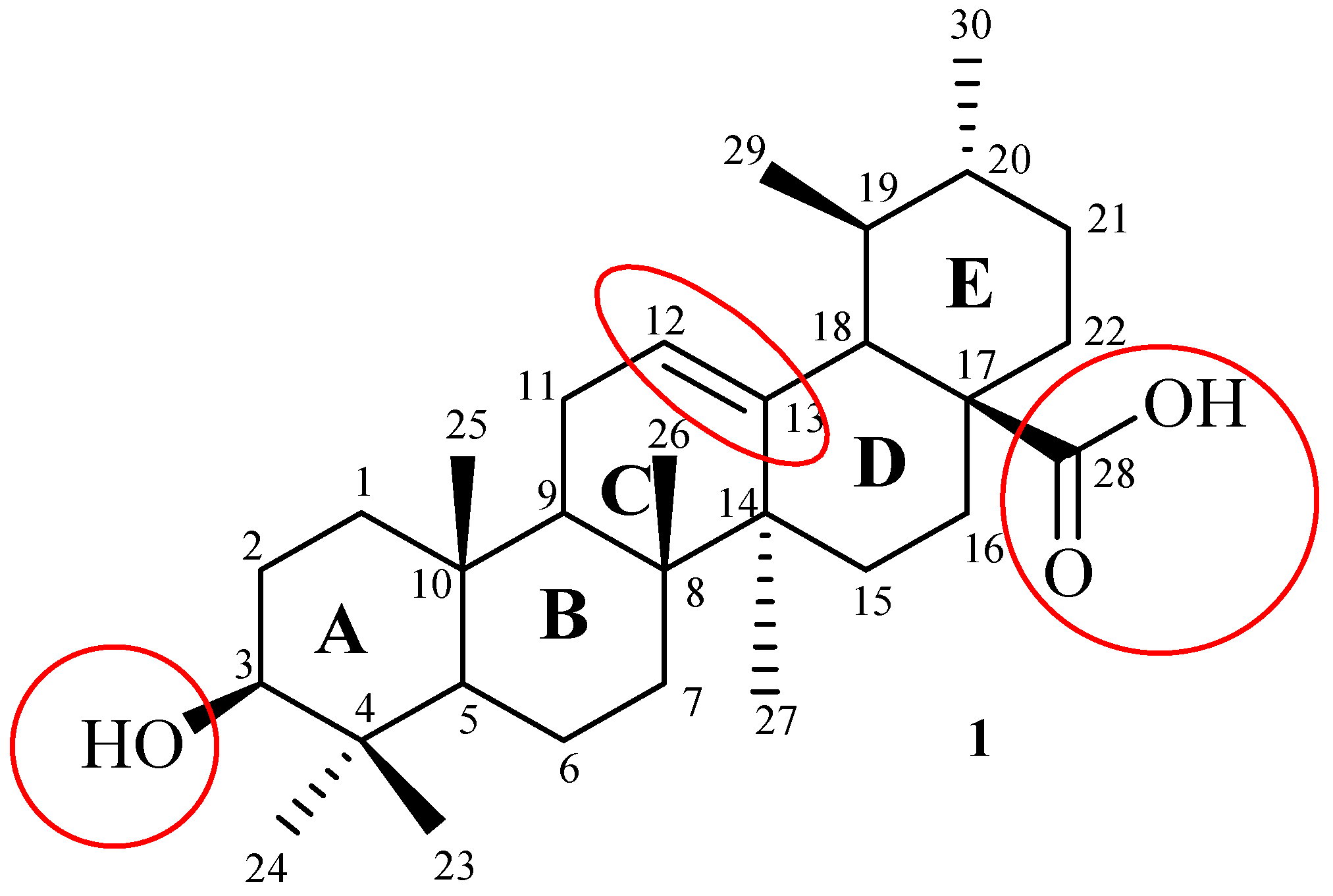 Ijms 21 05920 g002 Ijms 21 05920 g002