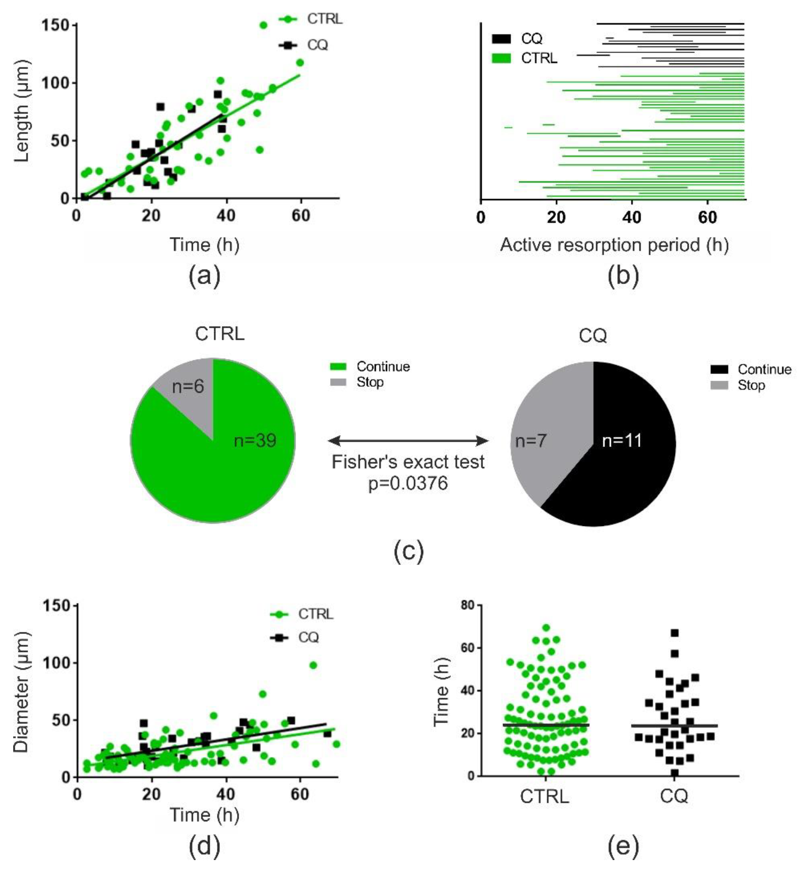 Ijms 21 05924 g004 Ijms 21 05924 g004