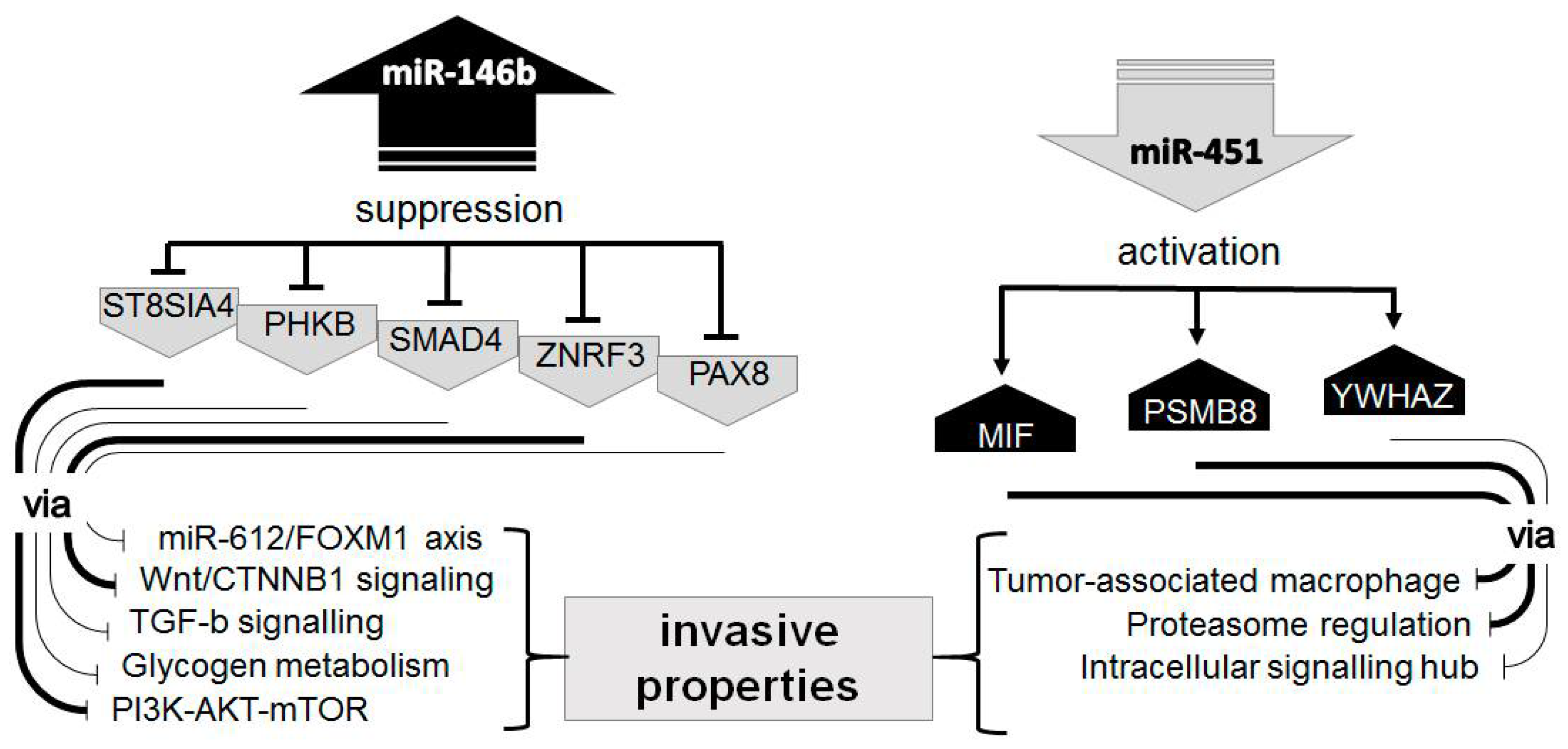 Ijms 21 05950 g005 Ijms 21 05950 g005