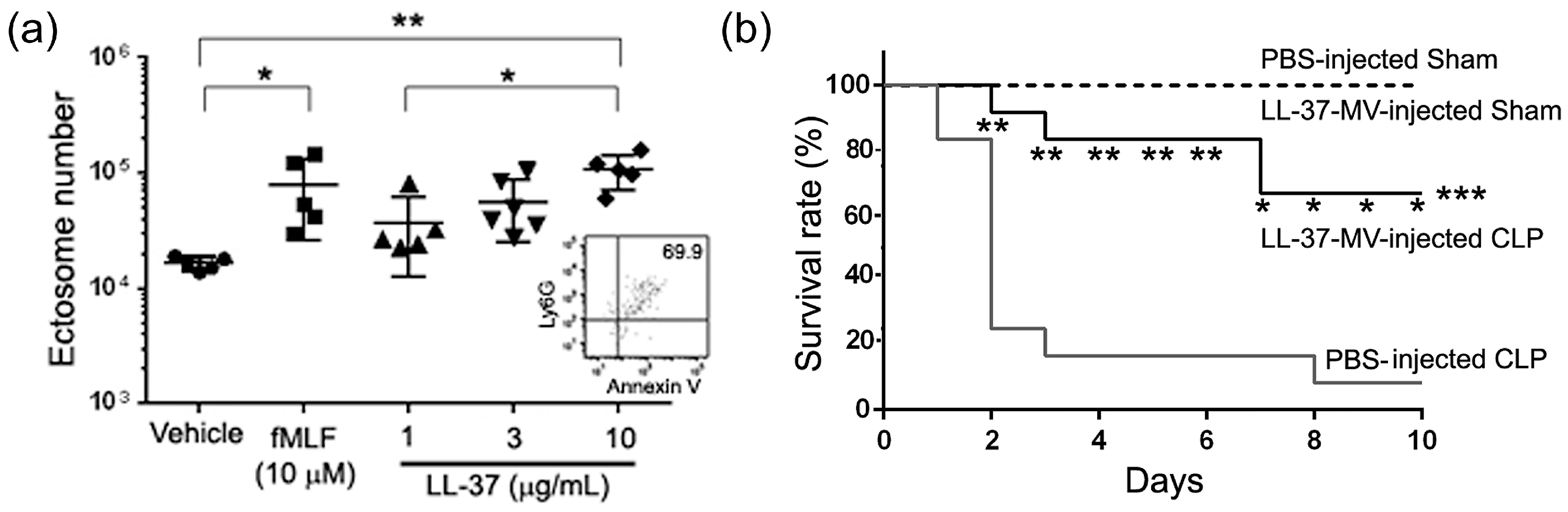 Ijms 21 05973 g015 Ijms 21 05973 g015
