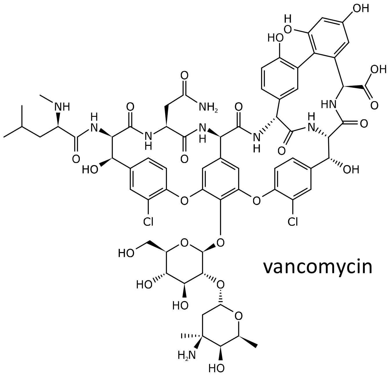 Ijms 21 05975 g008 Ijms 21 05975 g008