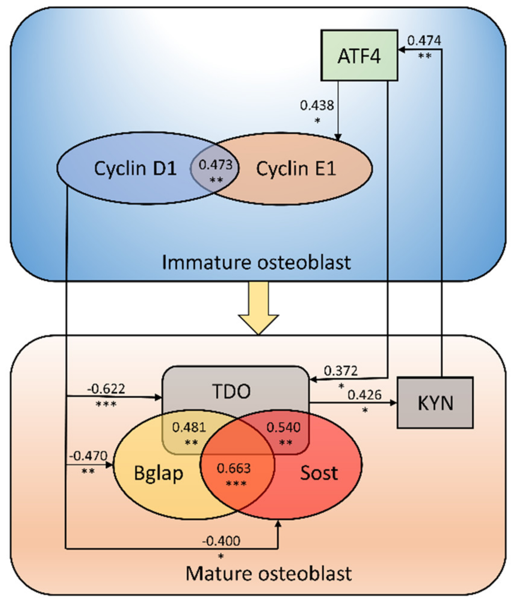 Ijms Free Full Text Modulation Of The Paracrine Kynurenic System In