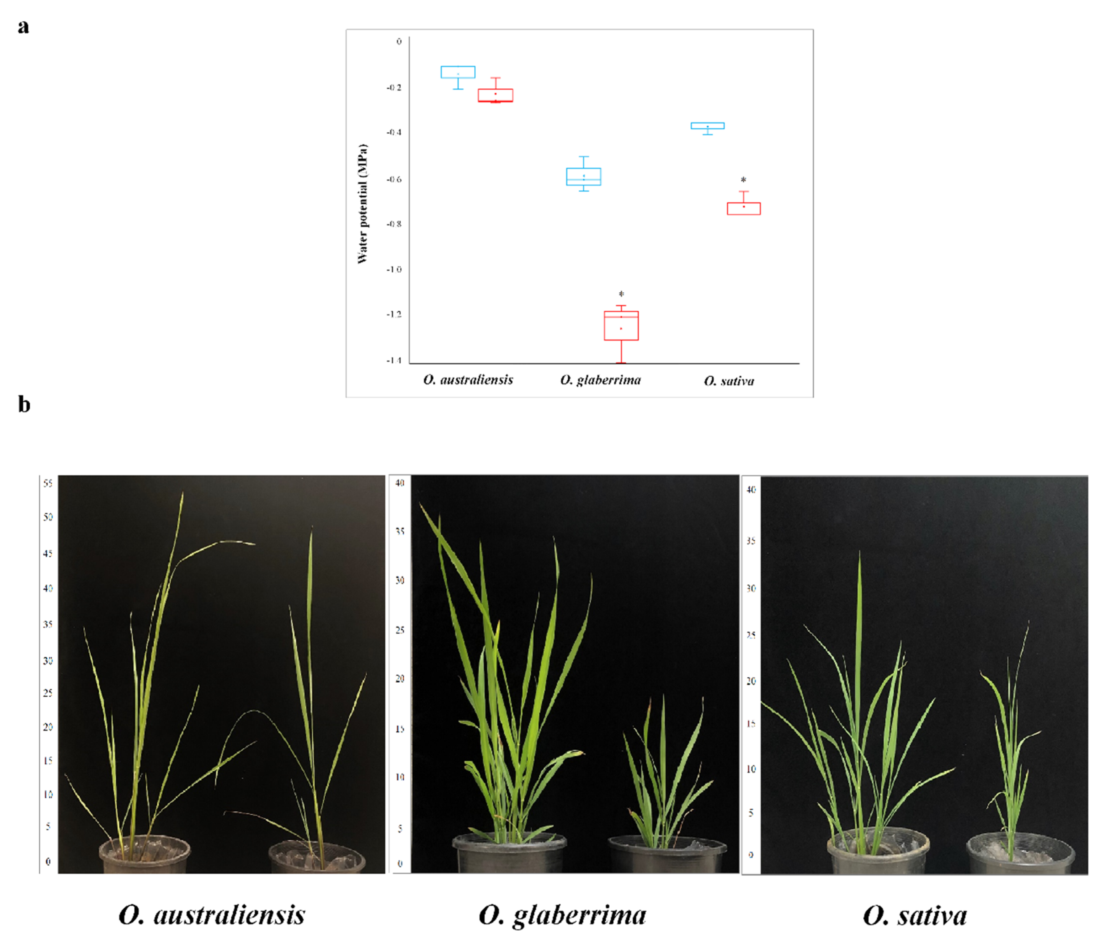 Ijms 21 05980 g001 Ijms 21 05980 g001