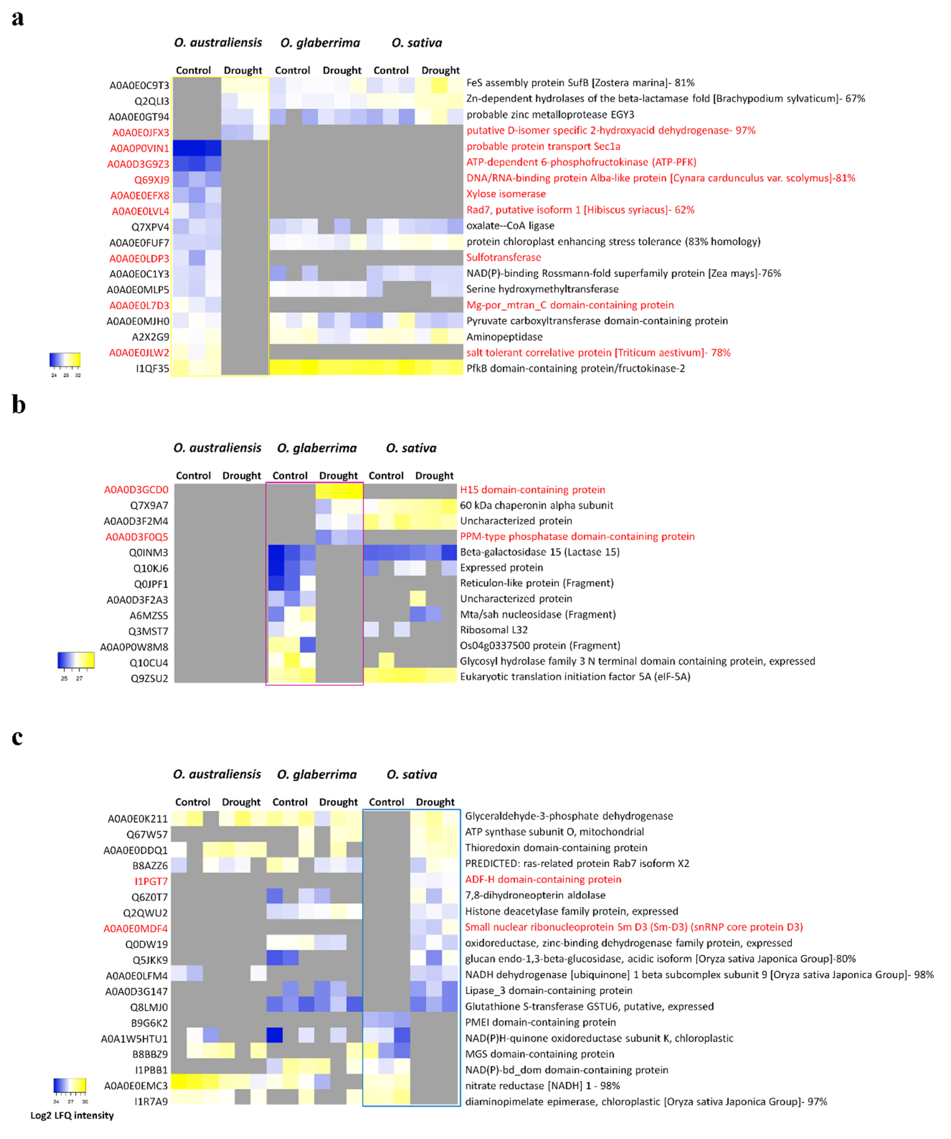Ijms 21 05980 g004 Ijms 21 05980 g004