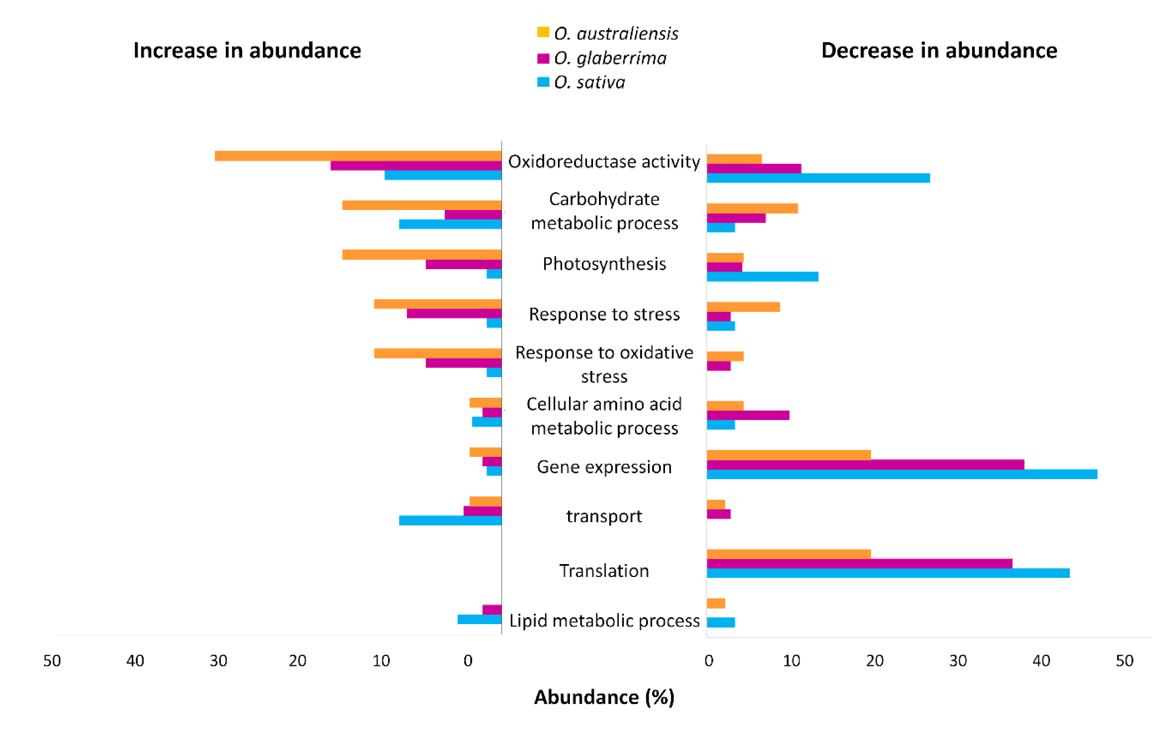 Ijms 21 05980 g005 Ijms 21 05980 g005