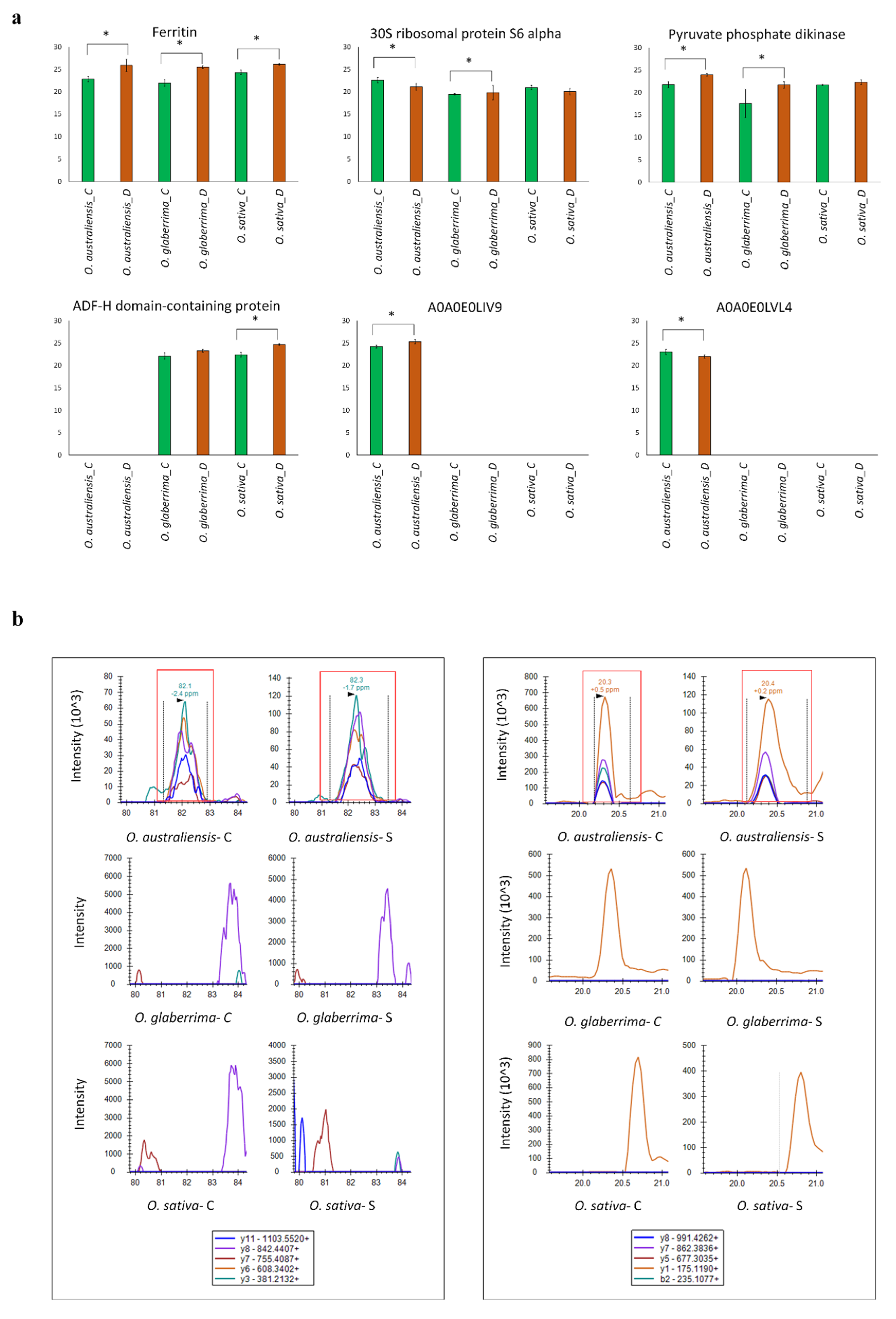 Ijms 21 05980 g006 Ijms 21 05980 g006