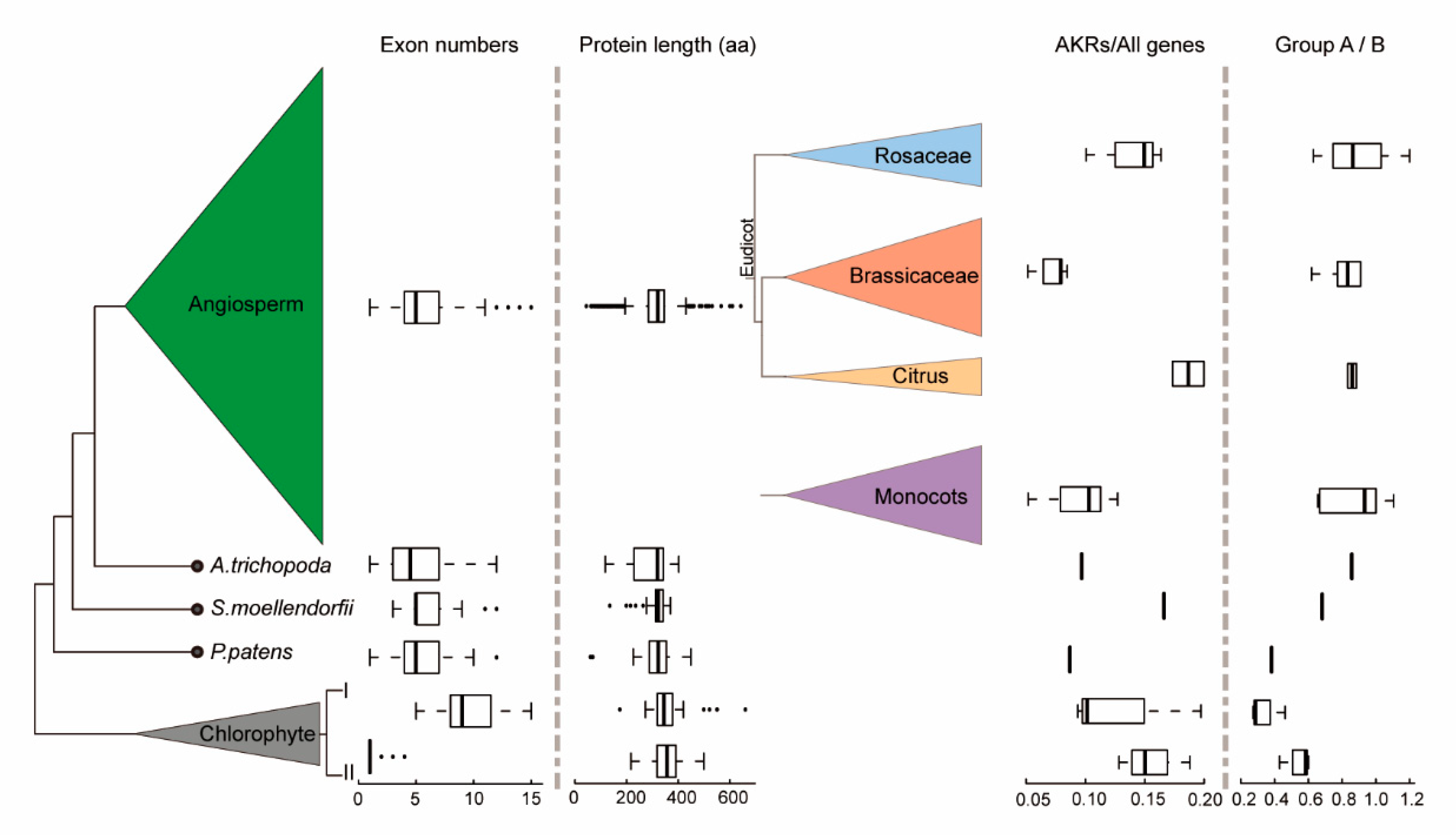Ijms 21 05987 g002 Ijms 21 05987 g002