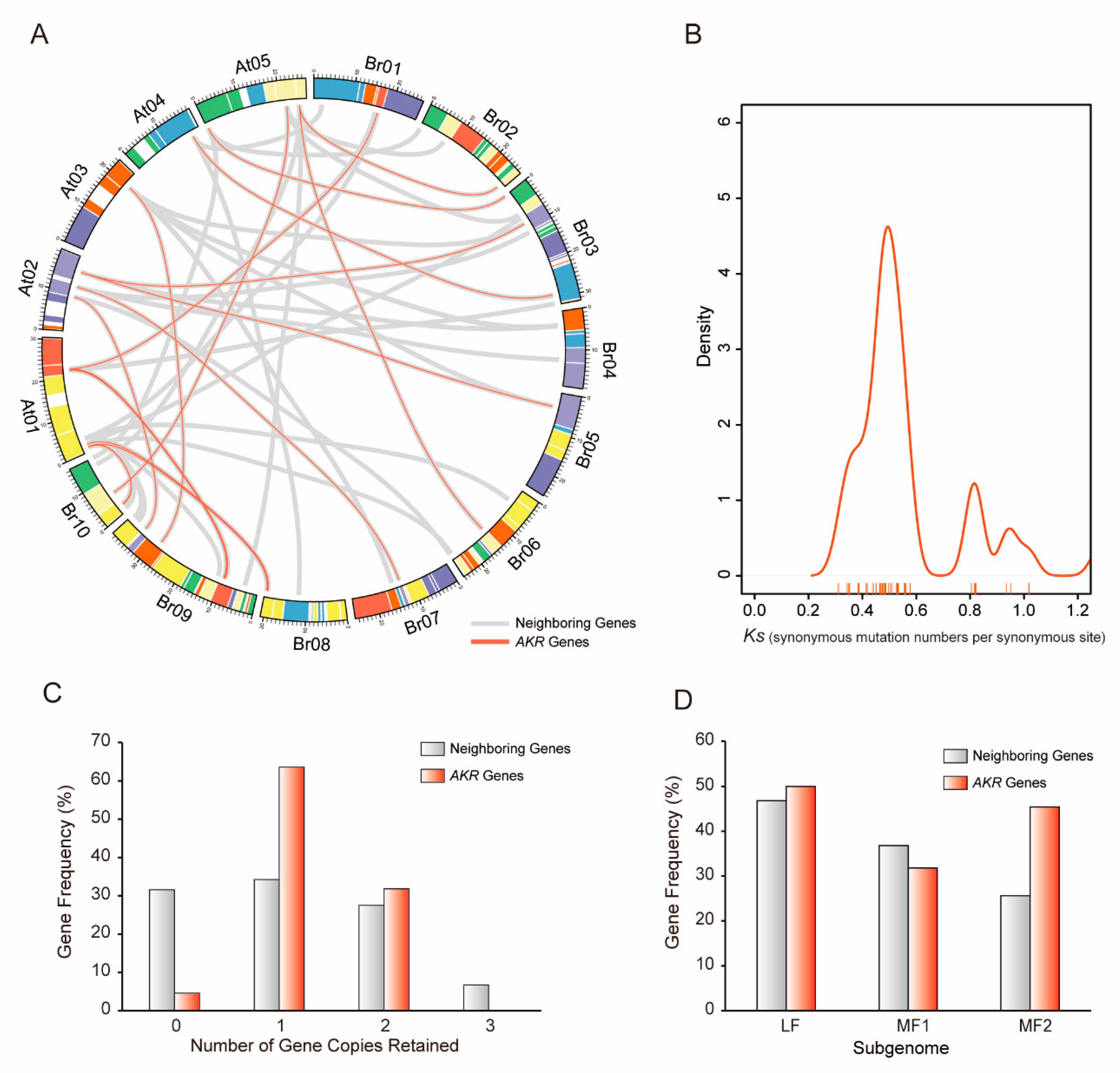Ijms 21 05987 g003 Ijms 21 05987 g003