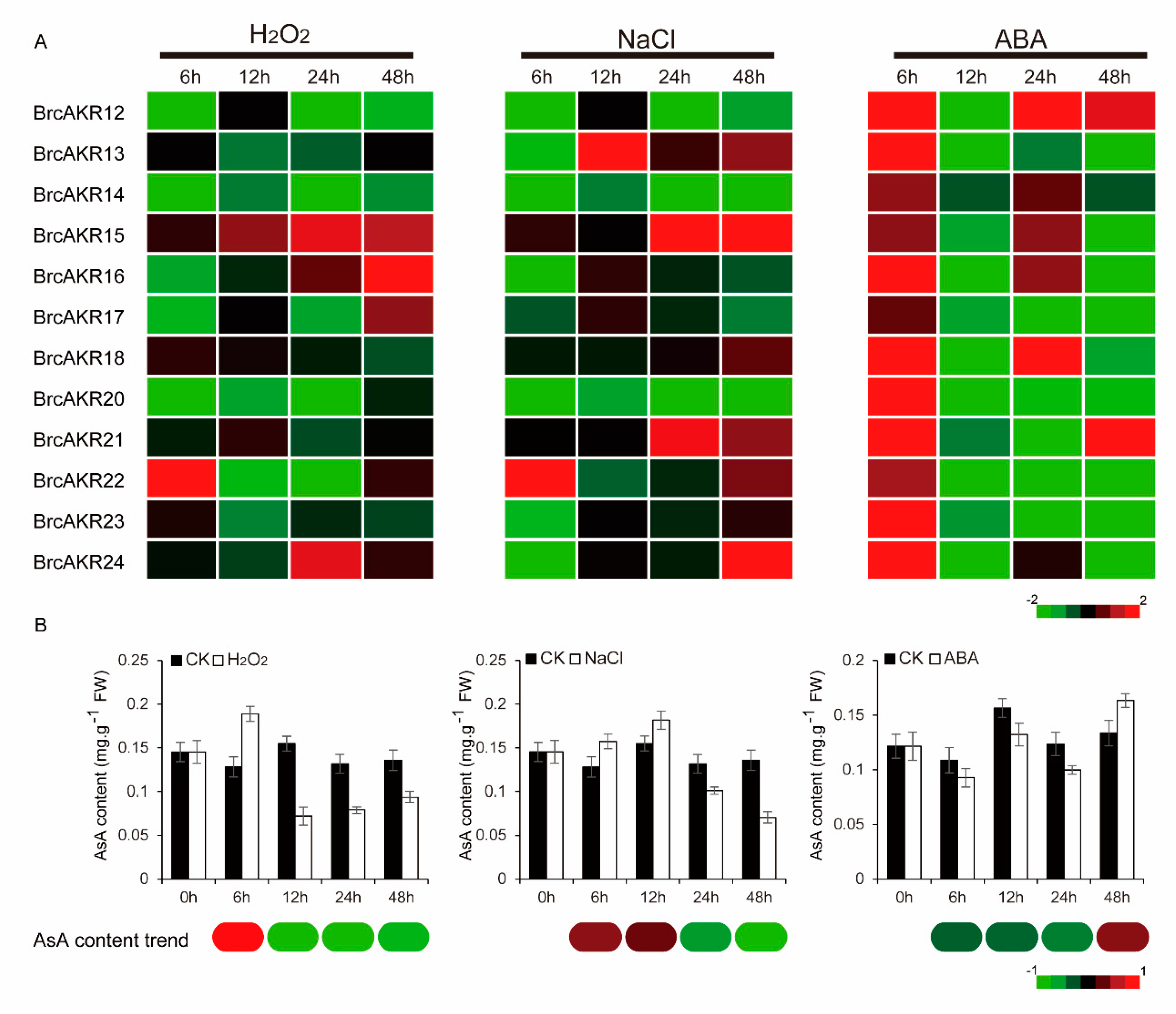 Ijms 21 05987 g005 Ijms 21 05987 g005