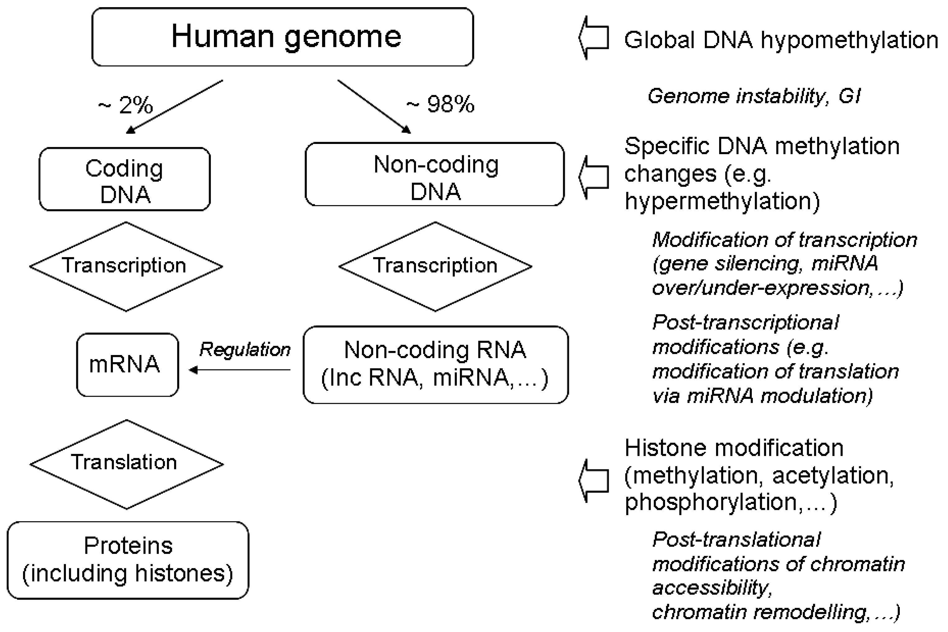 Ijms 21 05993 g001 Ijms 21 05993 g001