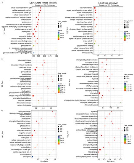 Ijms Free Full Text Integrated Analysis Of Small Rna Transcriptome And Degradome Sequencing Reveals The Water Deficit And Heat Stress Response Network In Durum Wheat Html