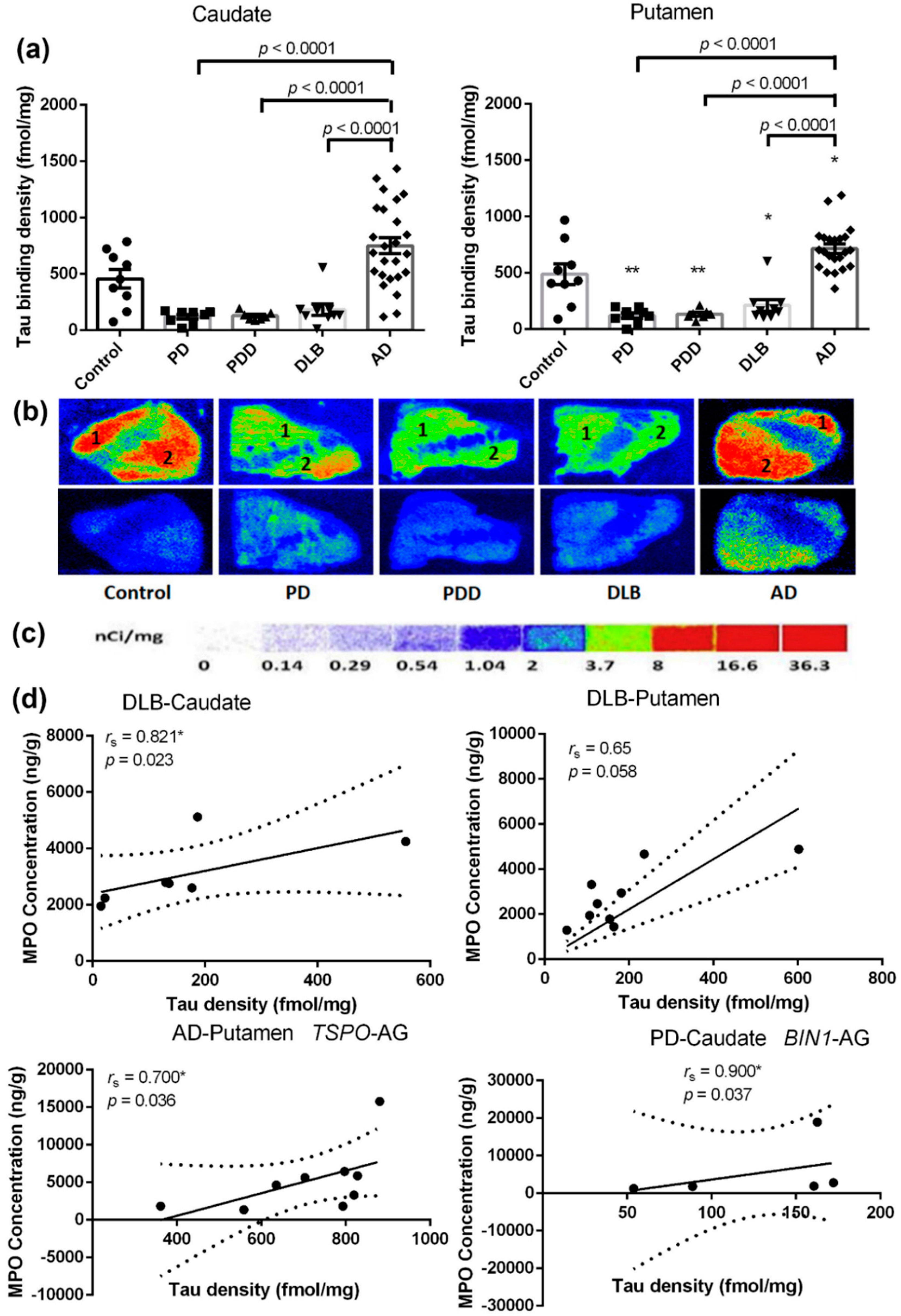 Ijms 21 06047 g005 Ijms 21 06047 g005