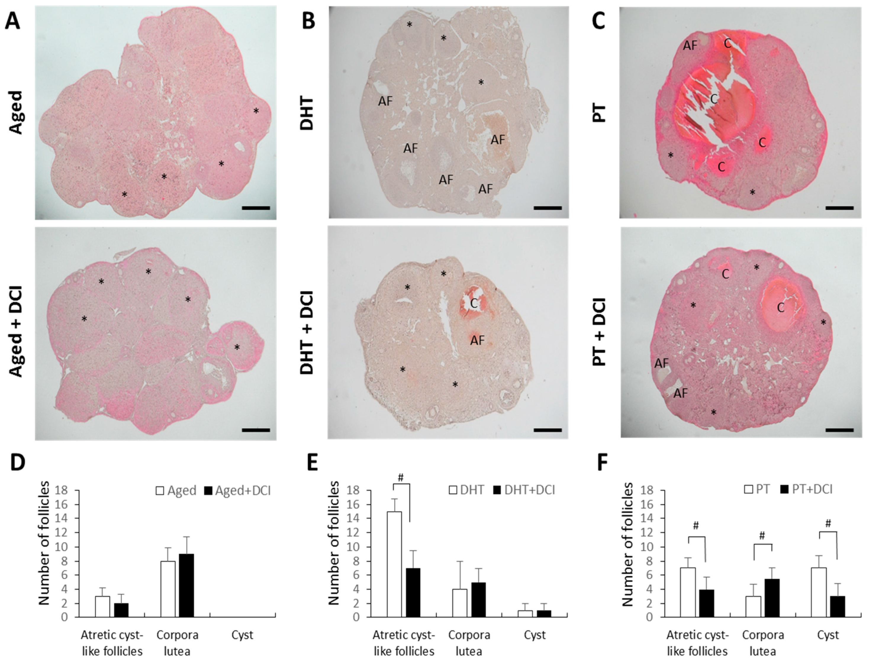 IJMS | Free Full-Text | D-Chiro-Inositol Treatment Affects Oocyte and  Embryo Quality and Improves Glucose Intolerance in Both Aged Mice and Mouse  Models of Polycystic Ovarian Syndrome