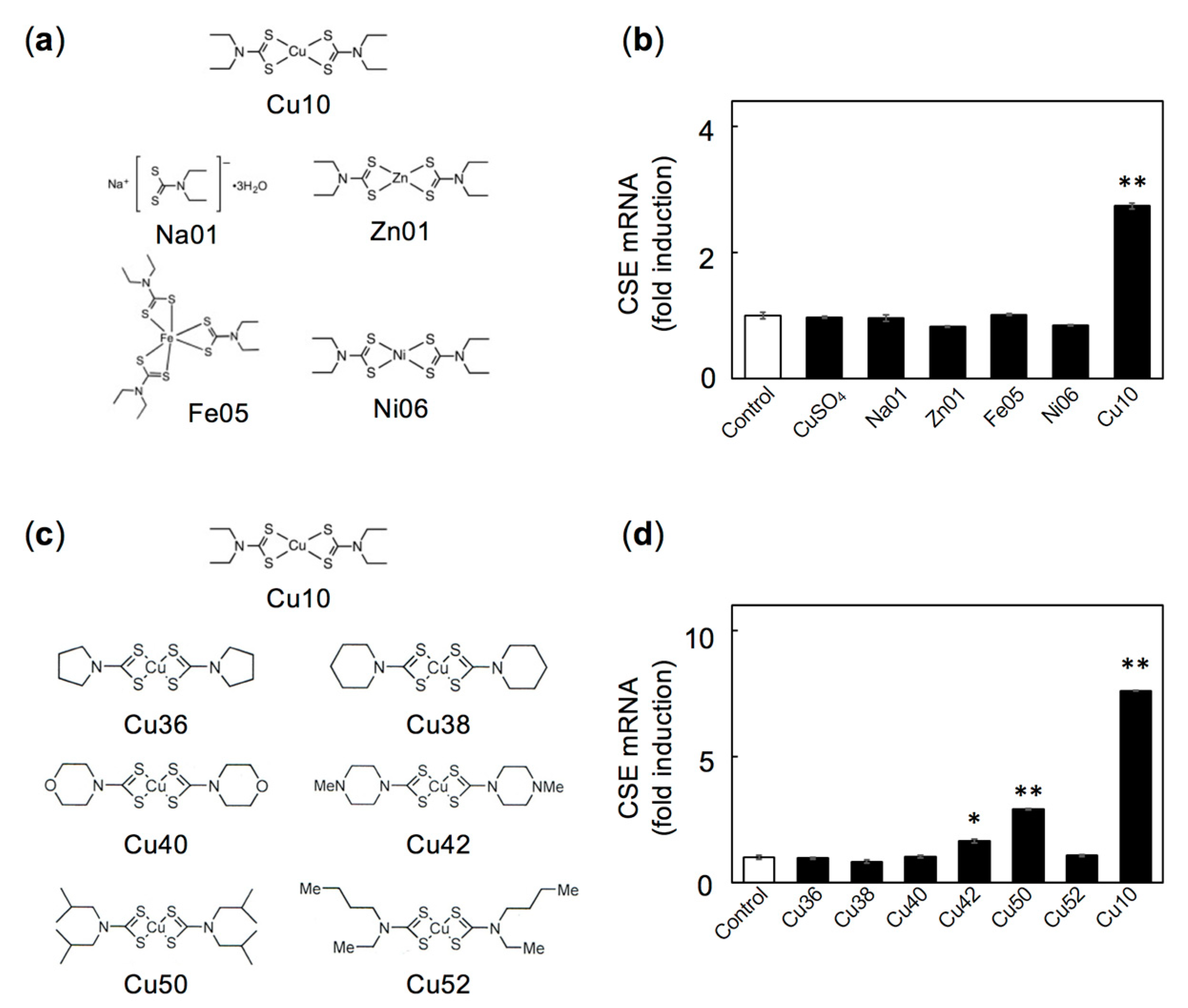 Ijms 21 06053 g002 Ijms 21 06053 g002