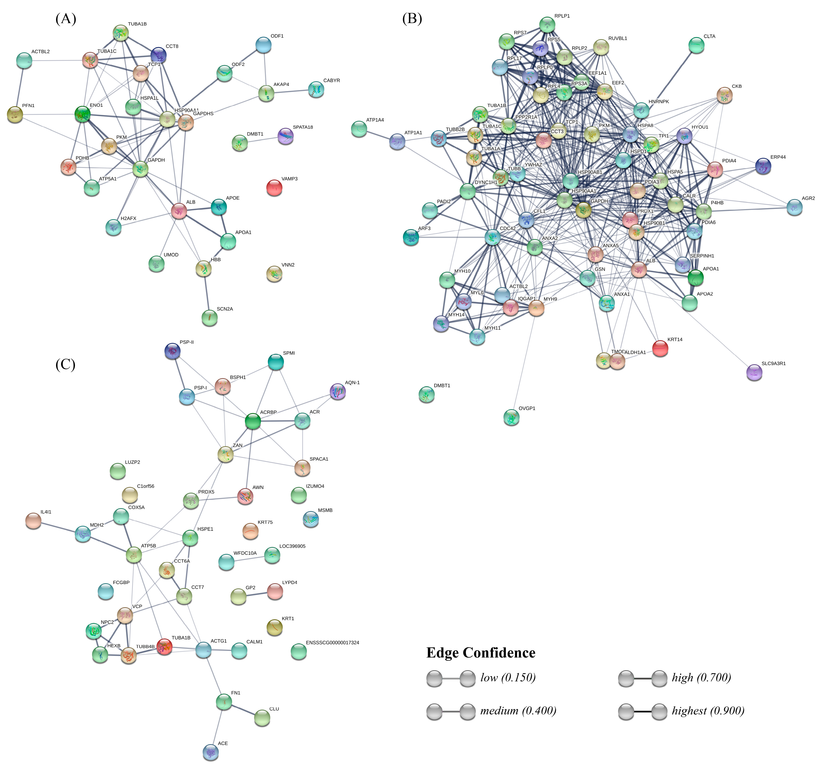 Ijms 21 06060 g005 Ijms 21 06060 g005
