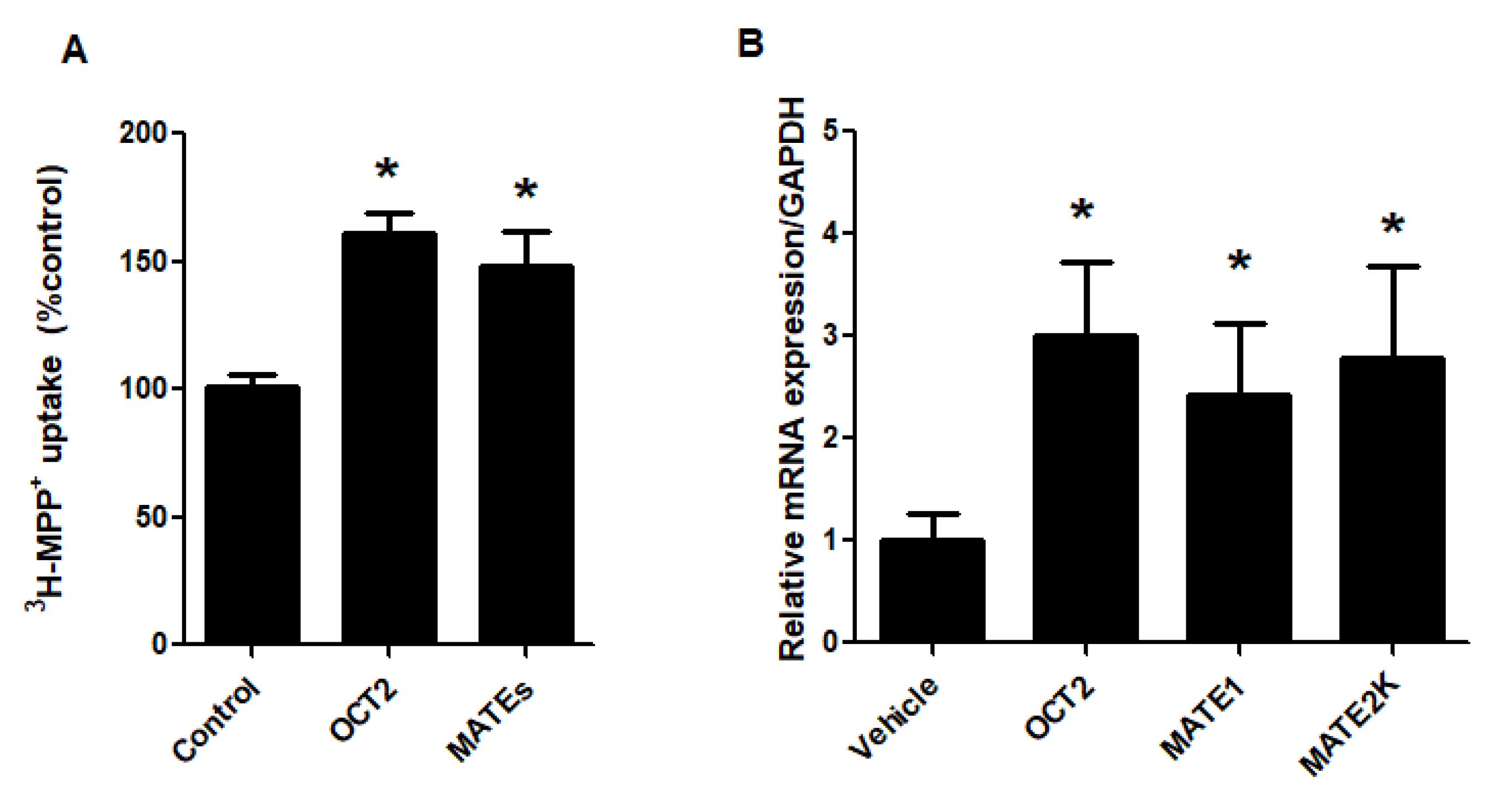 Ijms Free Full Text Farnesoid X Receptor Activation Stimulates