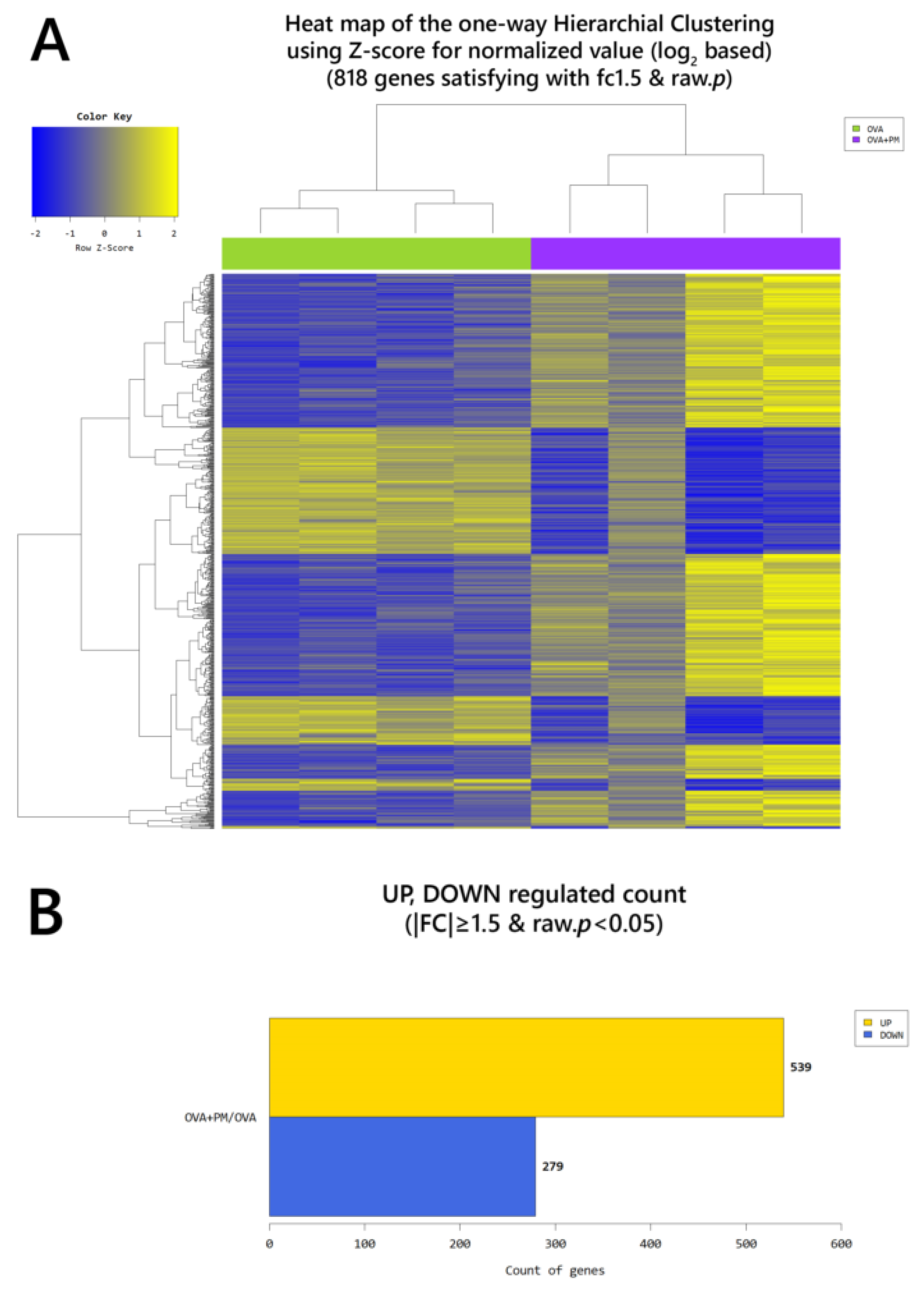 Ijms 21 06079 g004a Ijms 21 06079 g004a