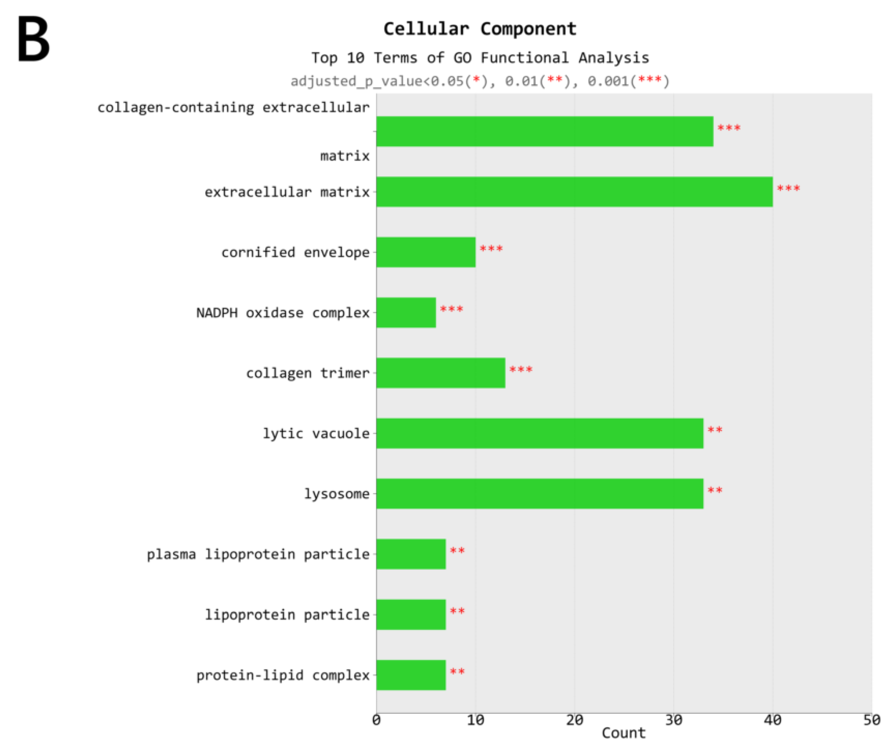 Ijms 21 06079 g006b Ijms 21 06079 g006b