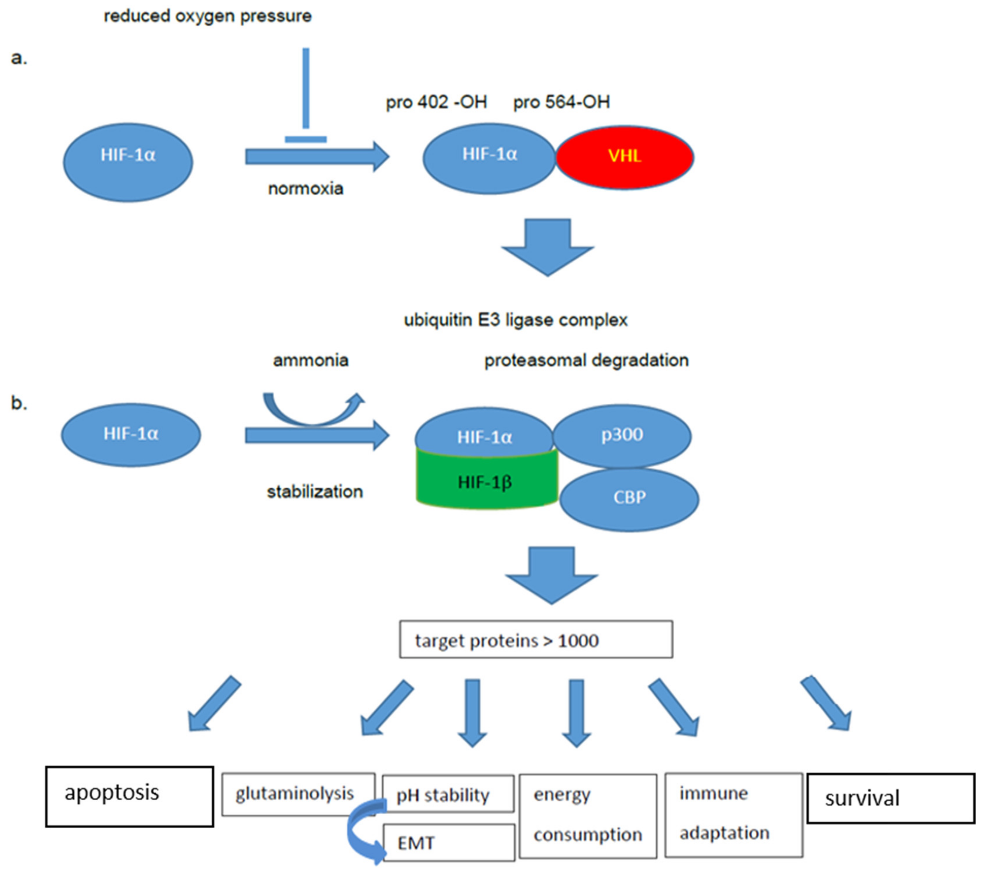 Ijms 21 06083 g001 Ijms 21 06083 g001