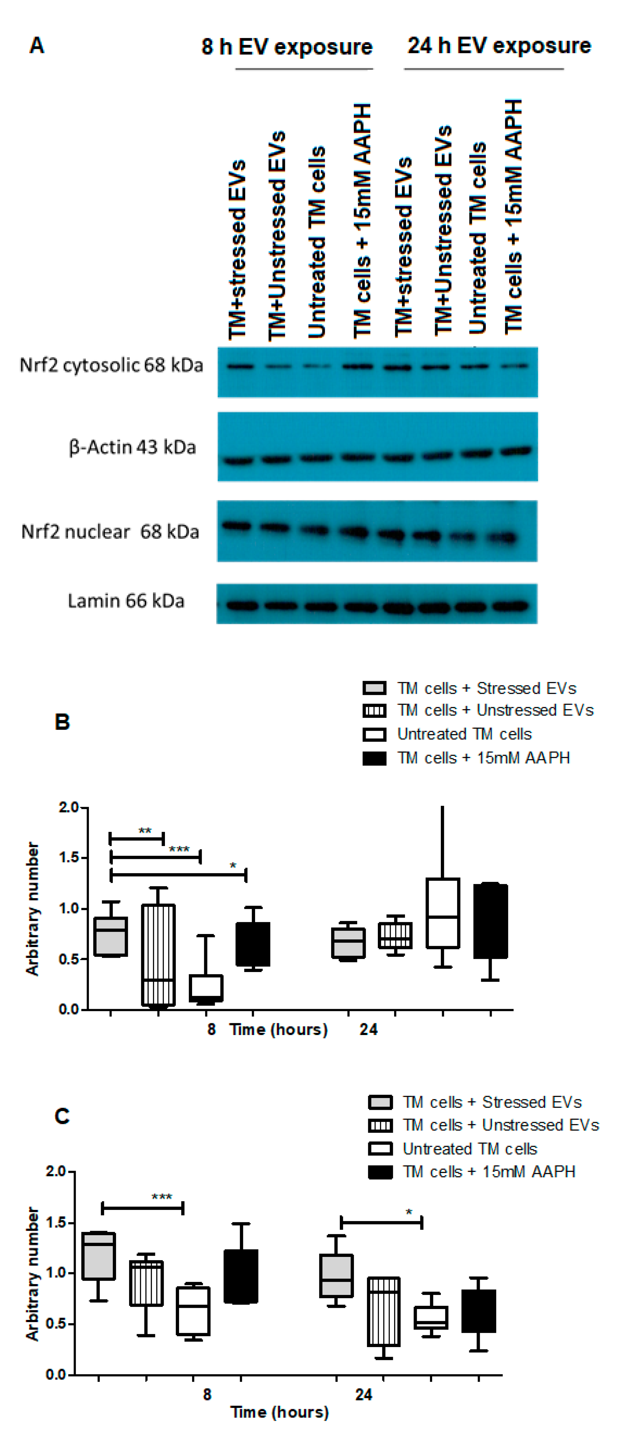Ijms 21 06105 g005 Ijms 21 06105 g005