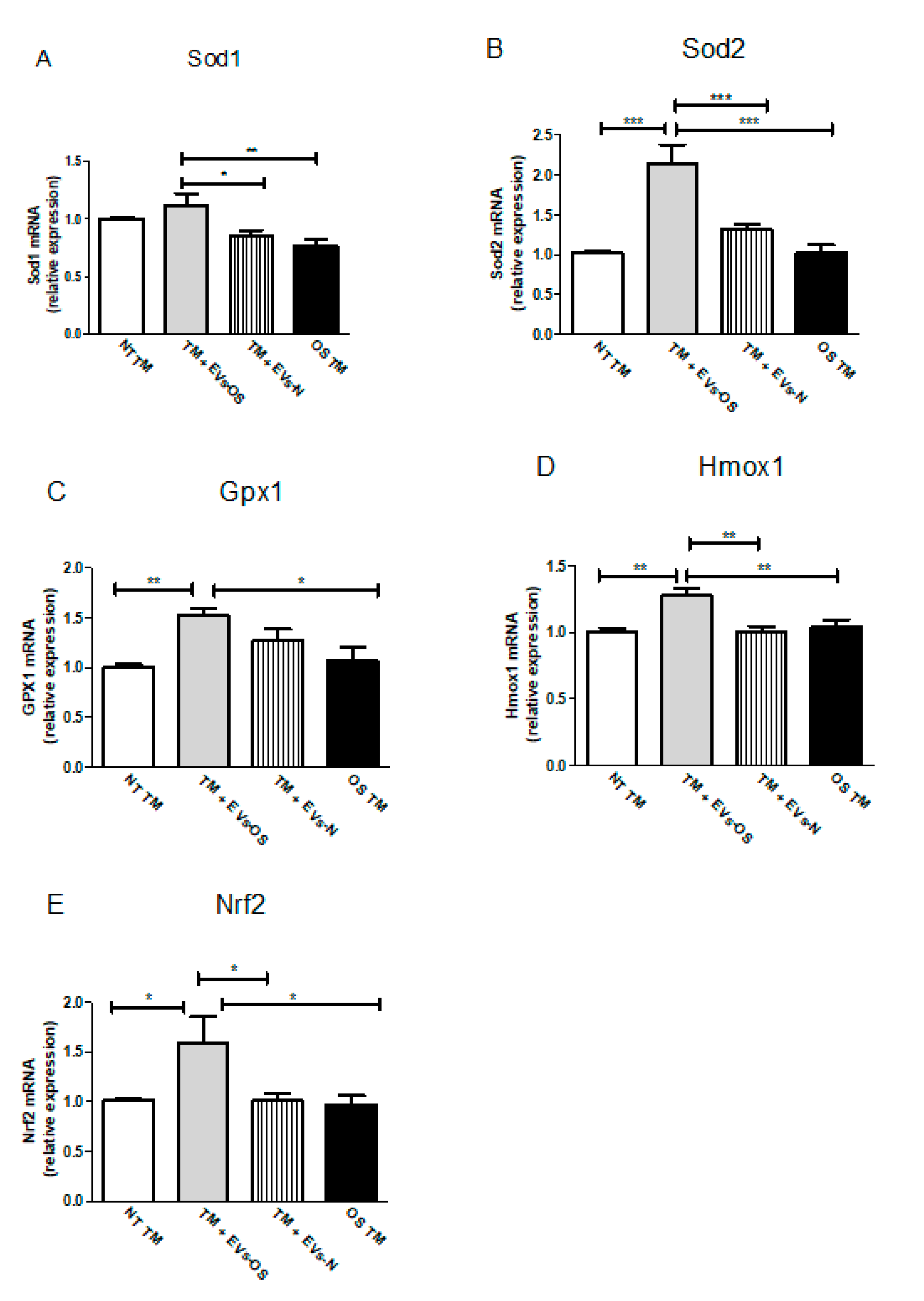 Ijms 21 06105 g007 Ijms 21 06105 g007