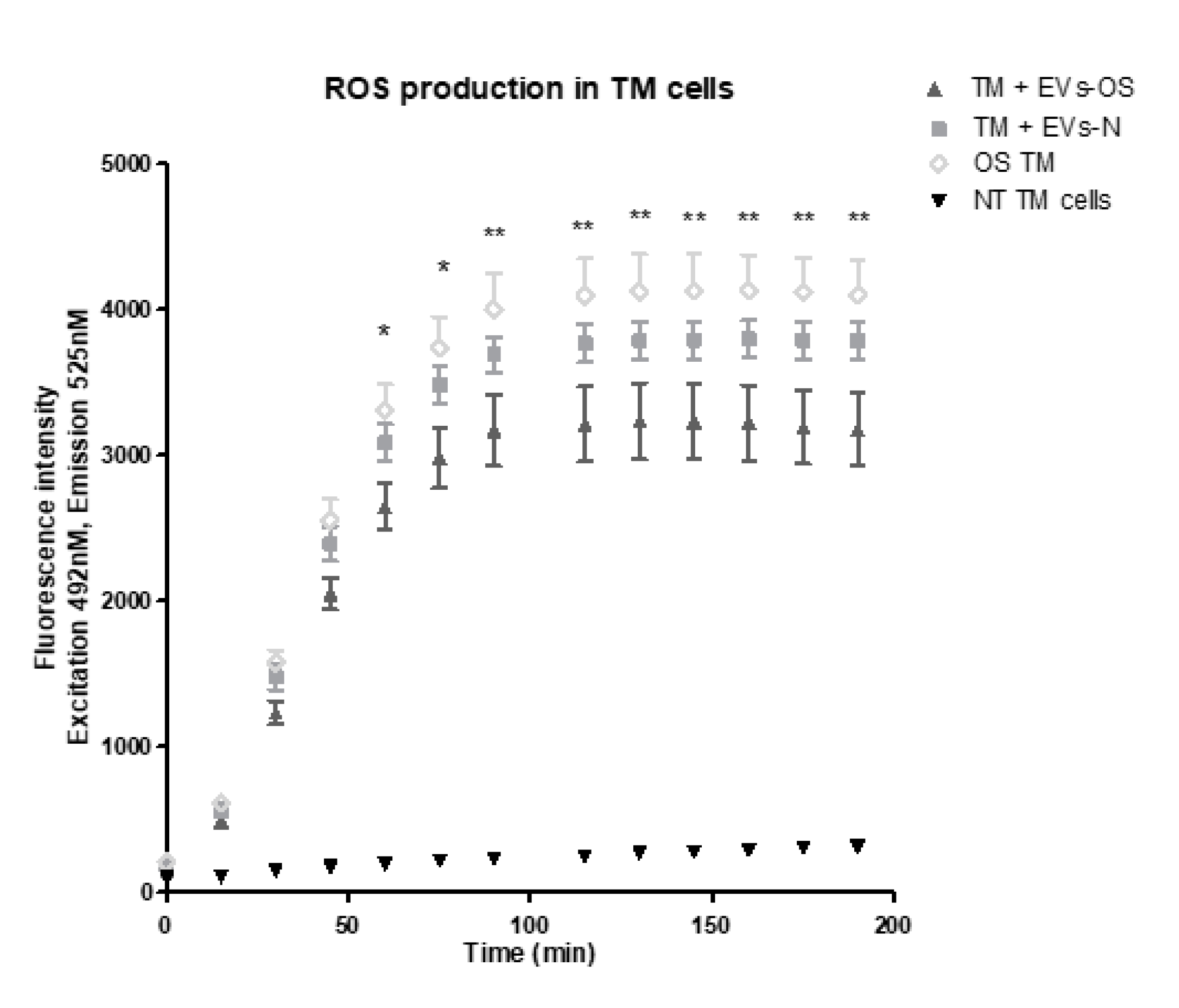 Ijms 21 06105 g008 Ijms 21 06105 g008