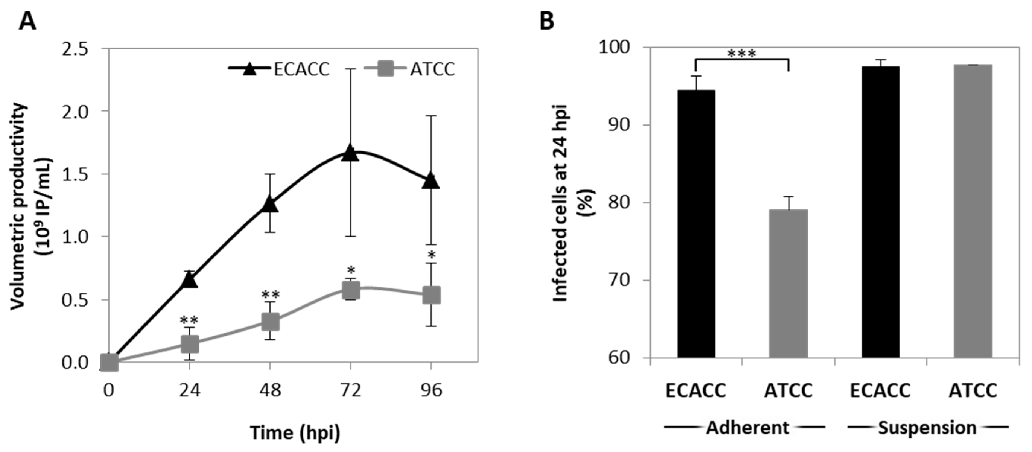 Ijms 21 06111 g004 Ijms 21 06111 g004
