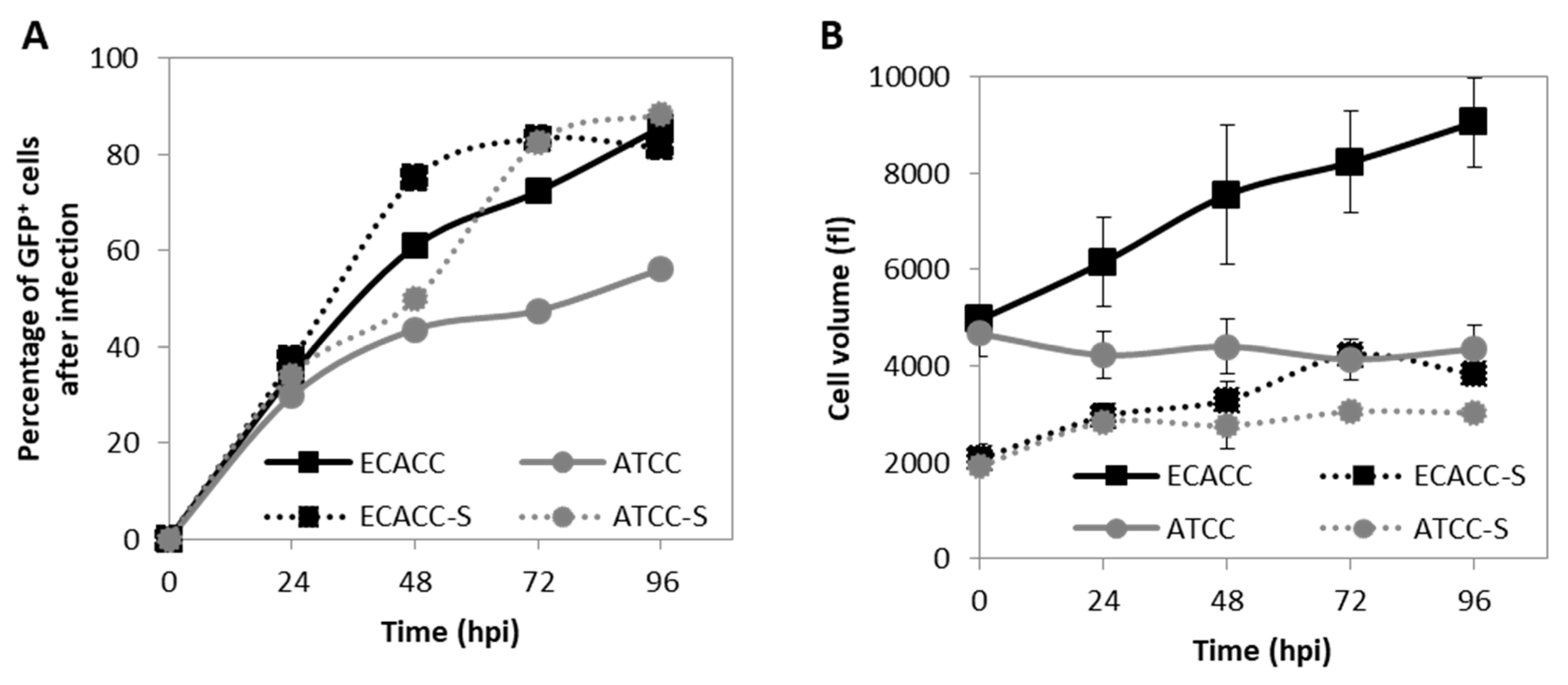 Ijms 21 06111 g005 Ijms 21 06111 g005