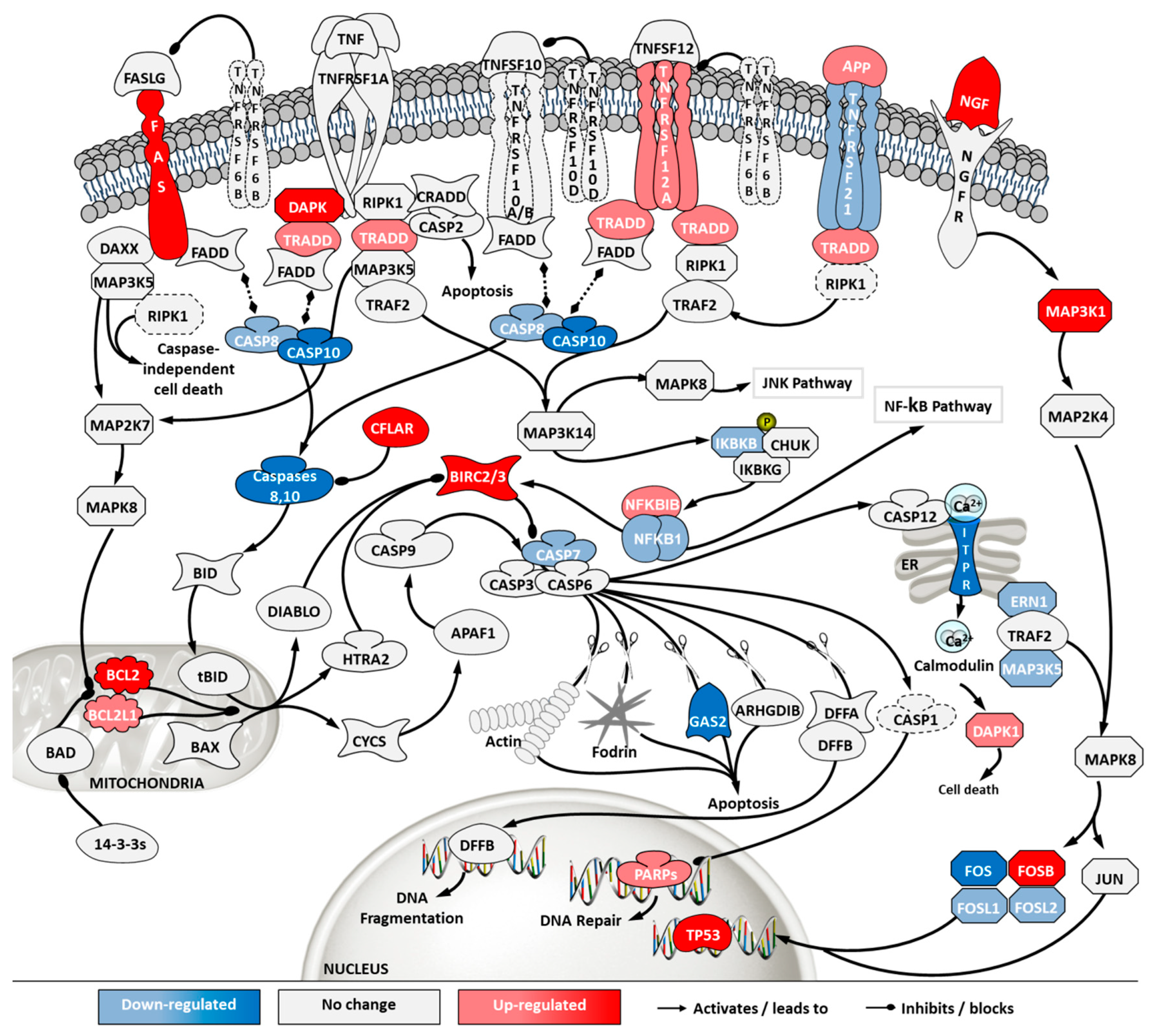 Ijms 21 06111 g007 Ijms 21 06111 g007