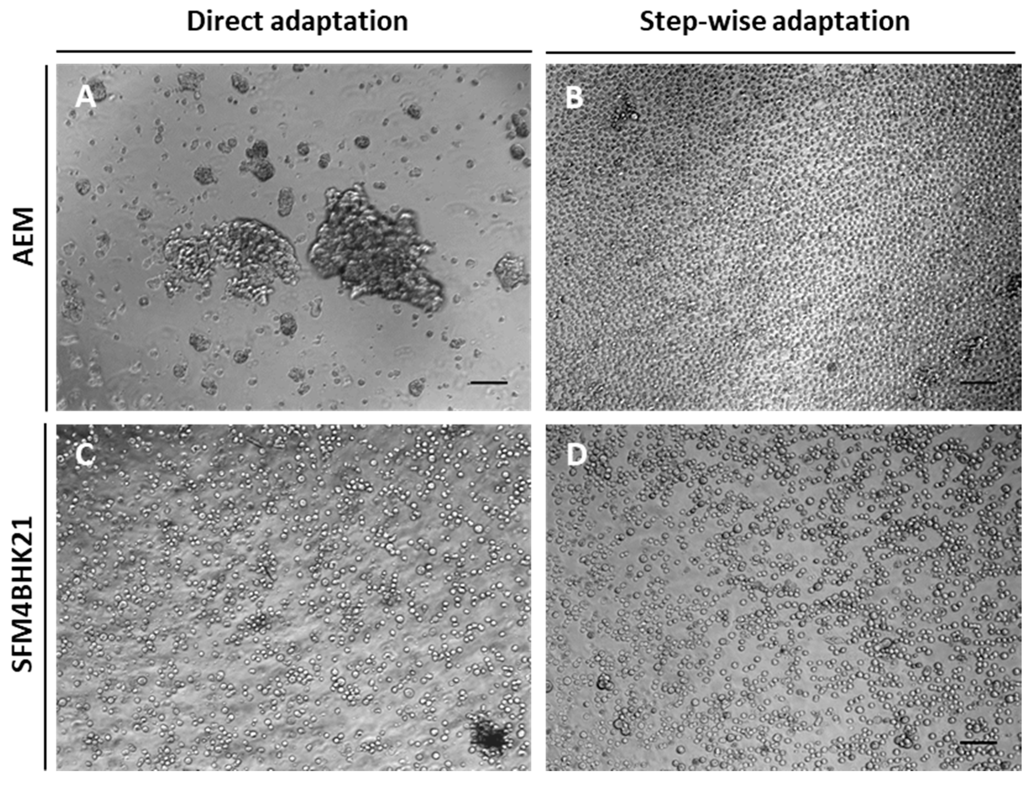 Ijms 21 06111 g0a1 Ijms 21 06111 g0a1