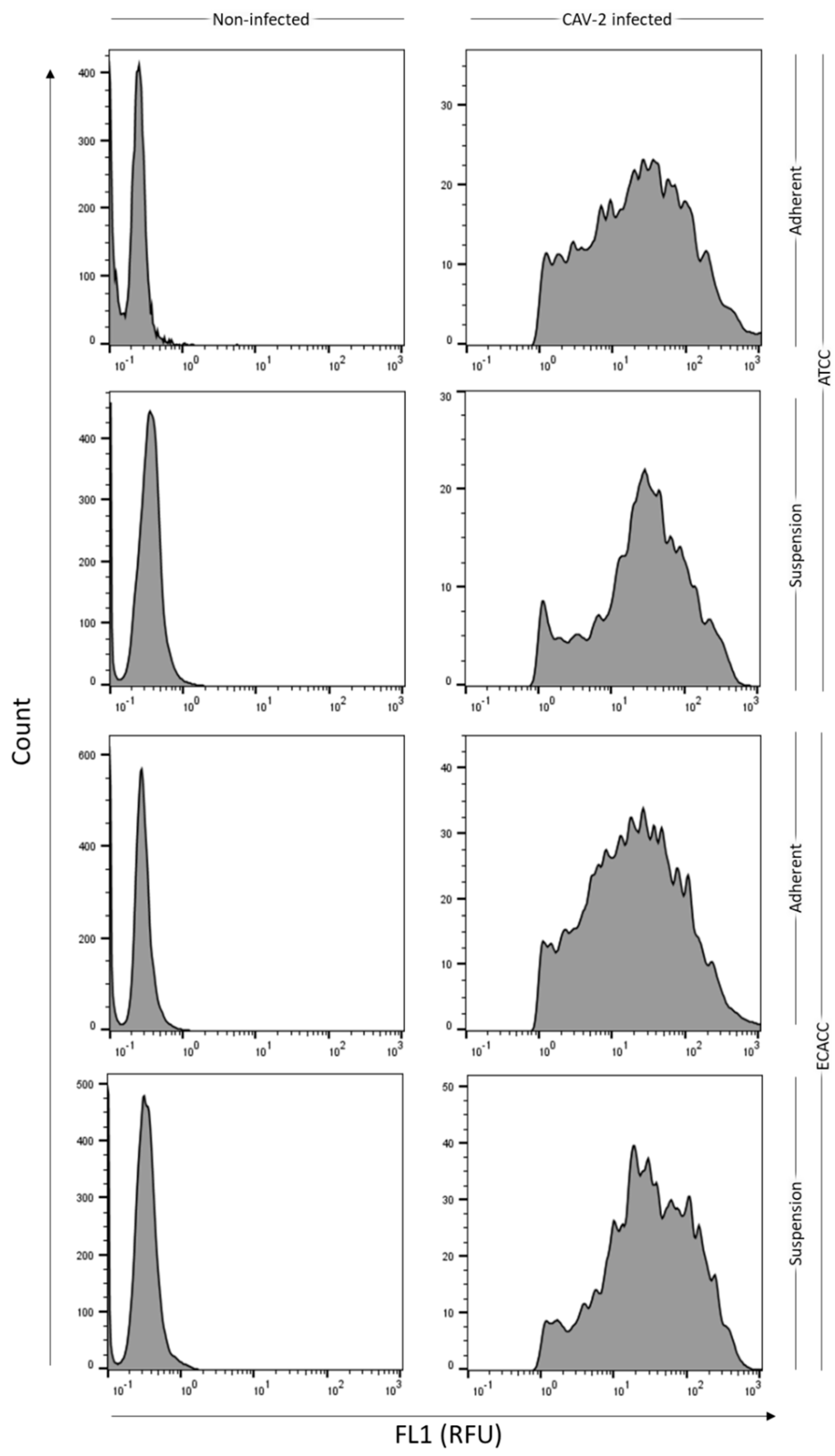 Ijms 21 06111 g0a5 Ijms 21 06111 g0a5